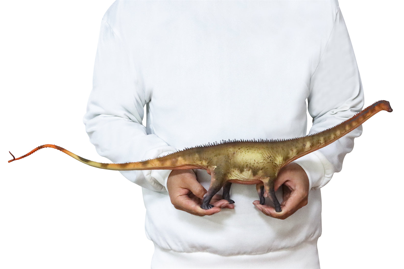 HAOLONGGOOD 1:35 Scale Diplodocus Model