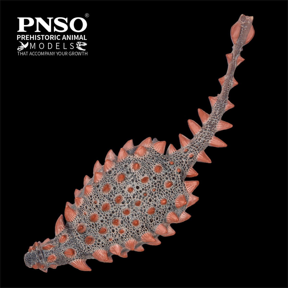 PNSO Zuul Cayden Model – Lana Time Shop