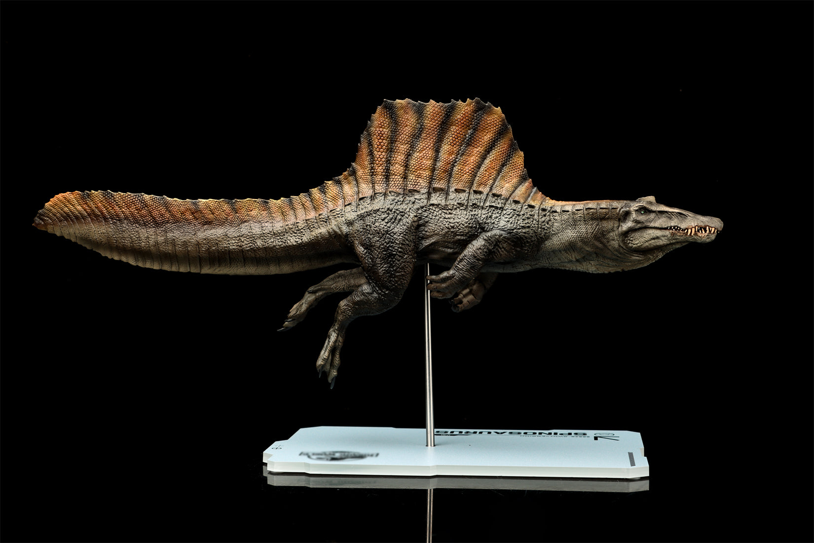 DINO DREAM 1:30 Scale Spinosaurus Swim Version Model