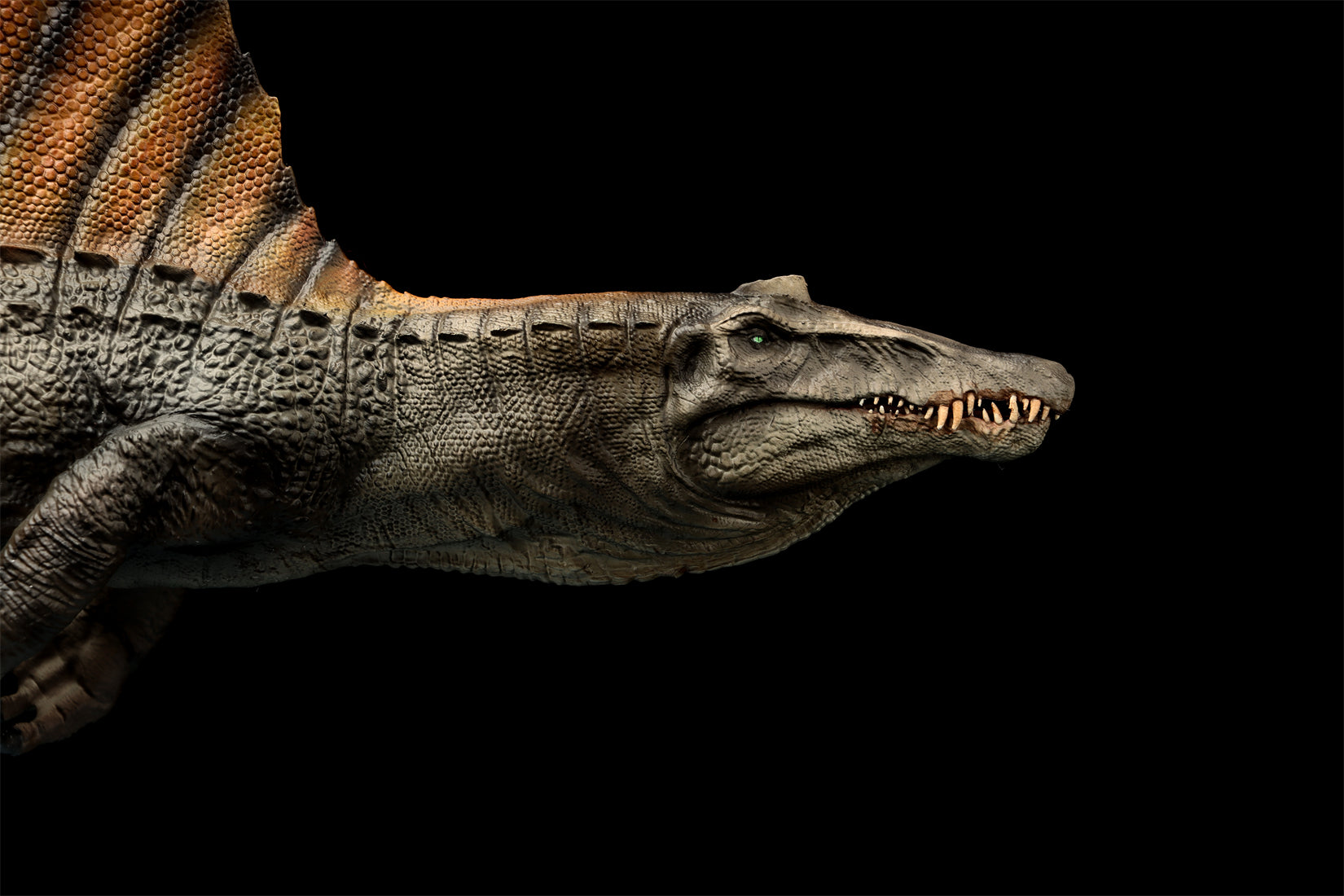 DINO DREAM 1:30 Scale Spinosaurus Swim Version Model