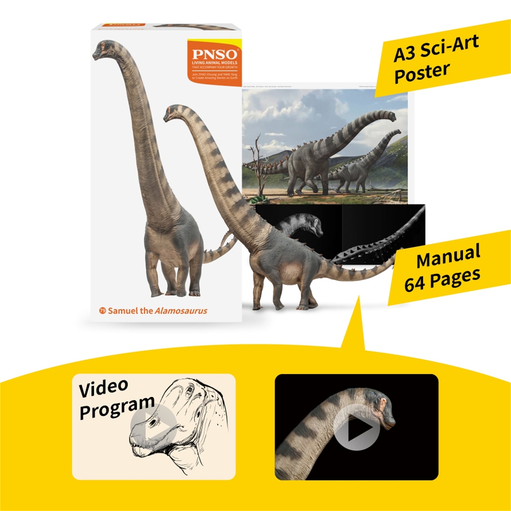 PNSO Alamosaurus Samuel Model