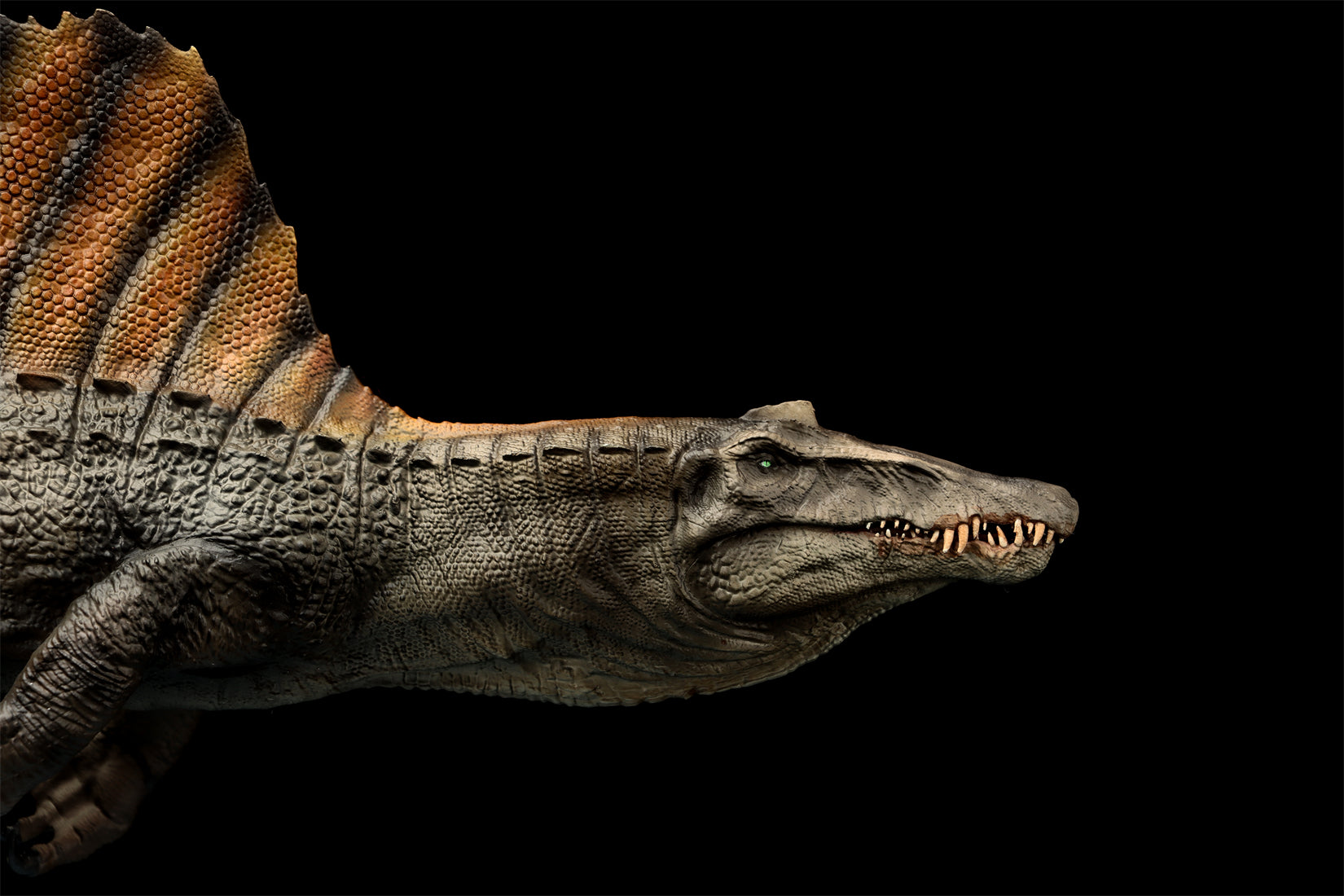 DINO DREAM 1:30 Scale Spinosaurus Swim Version Model