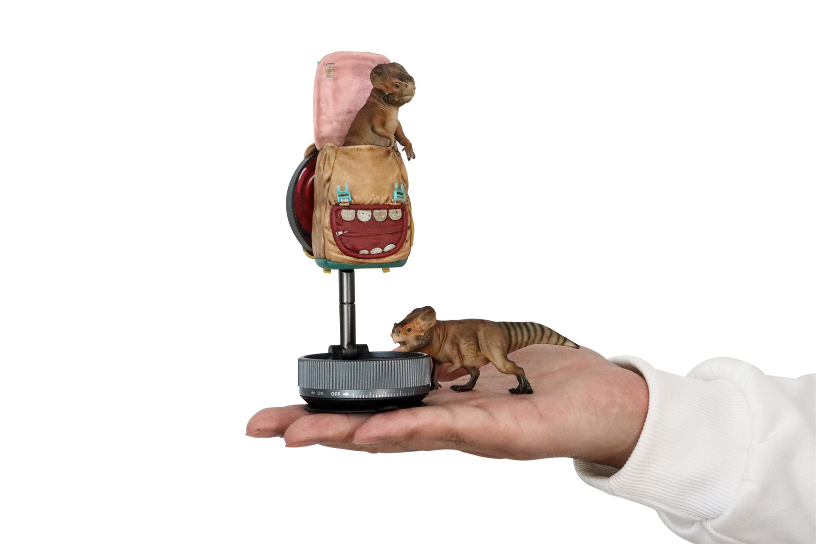 DINO DREAM 1:5 Scale Aquilops Dolores Model