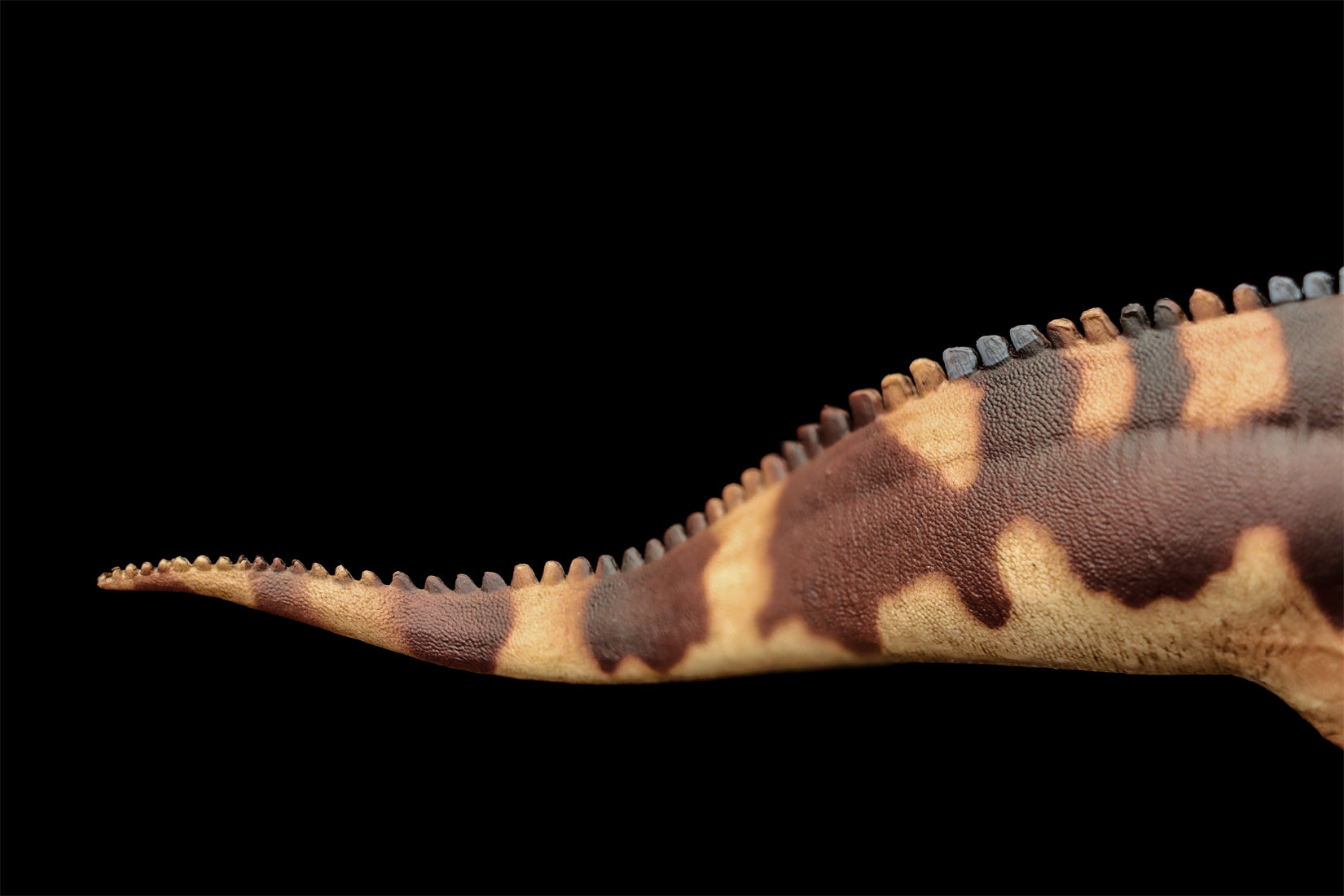 PNSO 94 Lurdusaurus Bakari Model