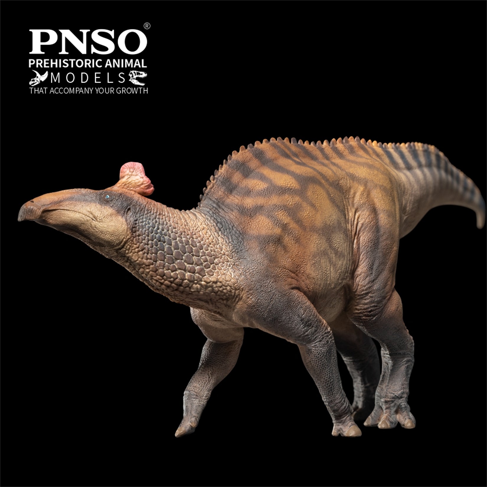 PNSO Edmontosaurus Zabad Model