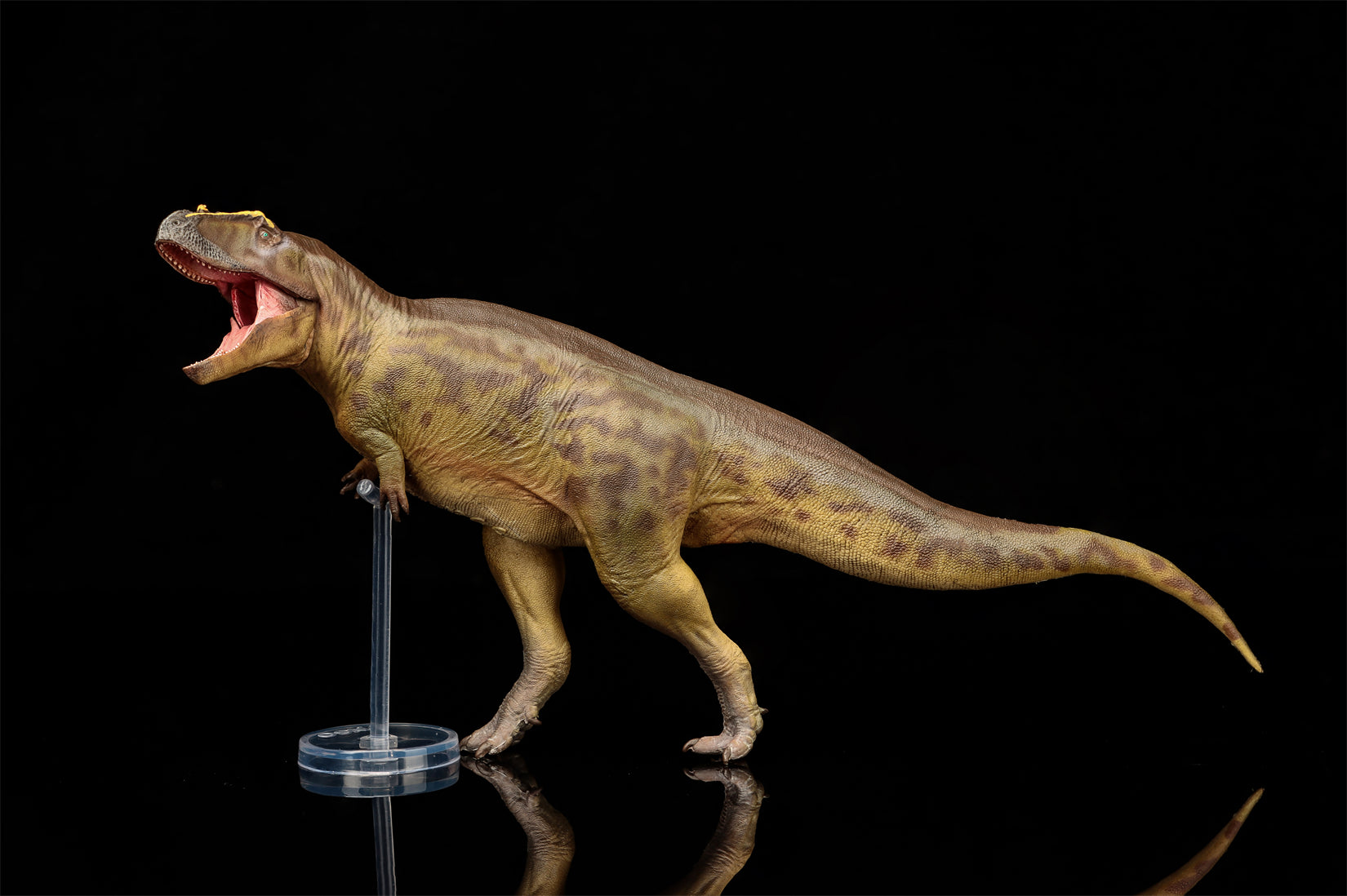 PNSO 95 Tameryraptor Mayer Model