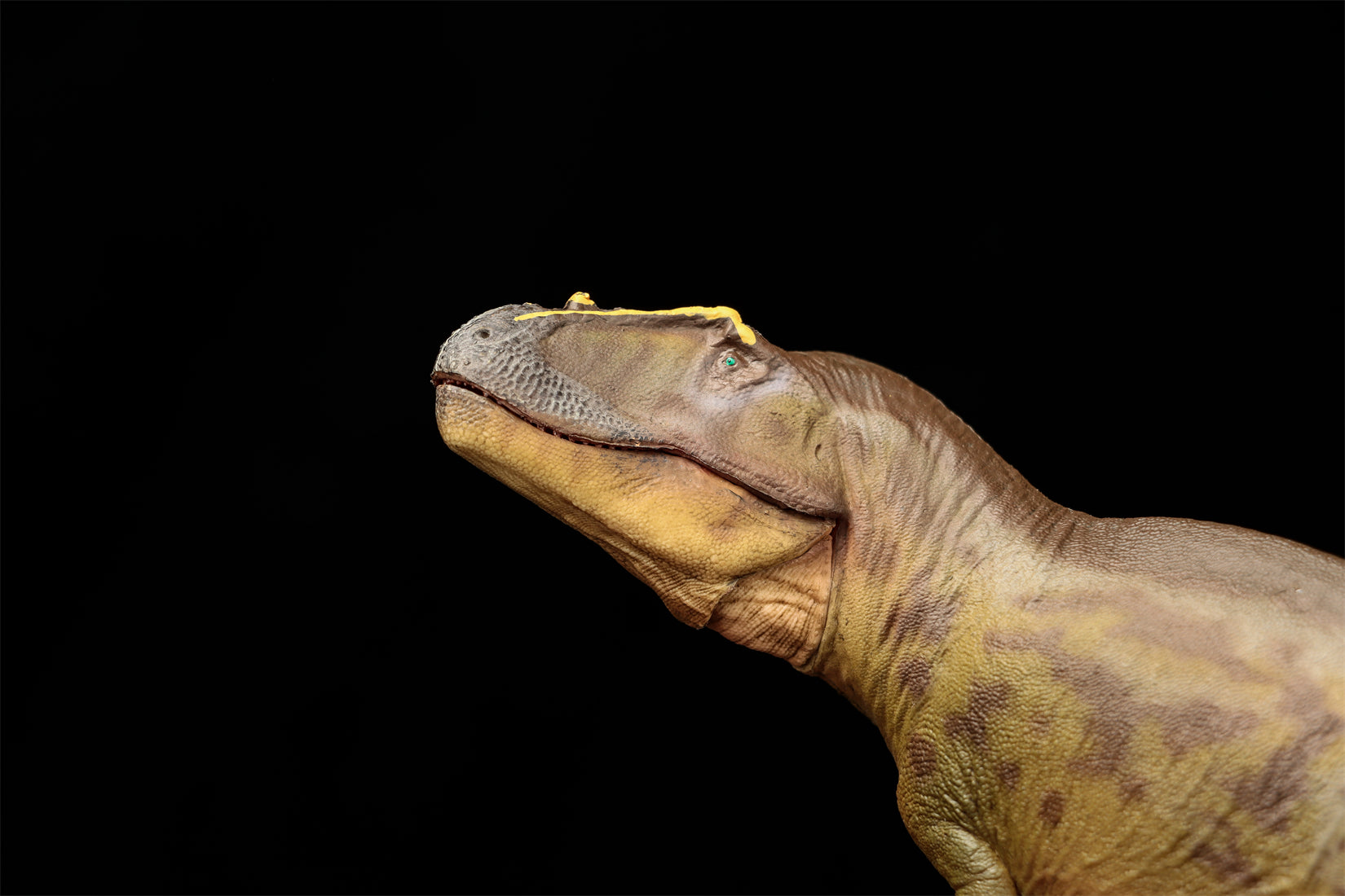 PNSO 95 Tameryraptor Mayer Model