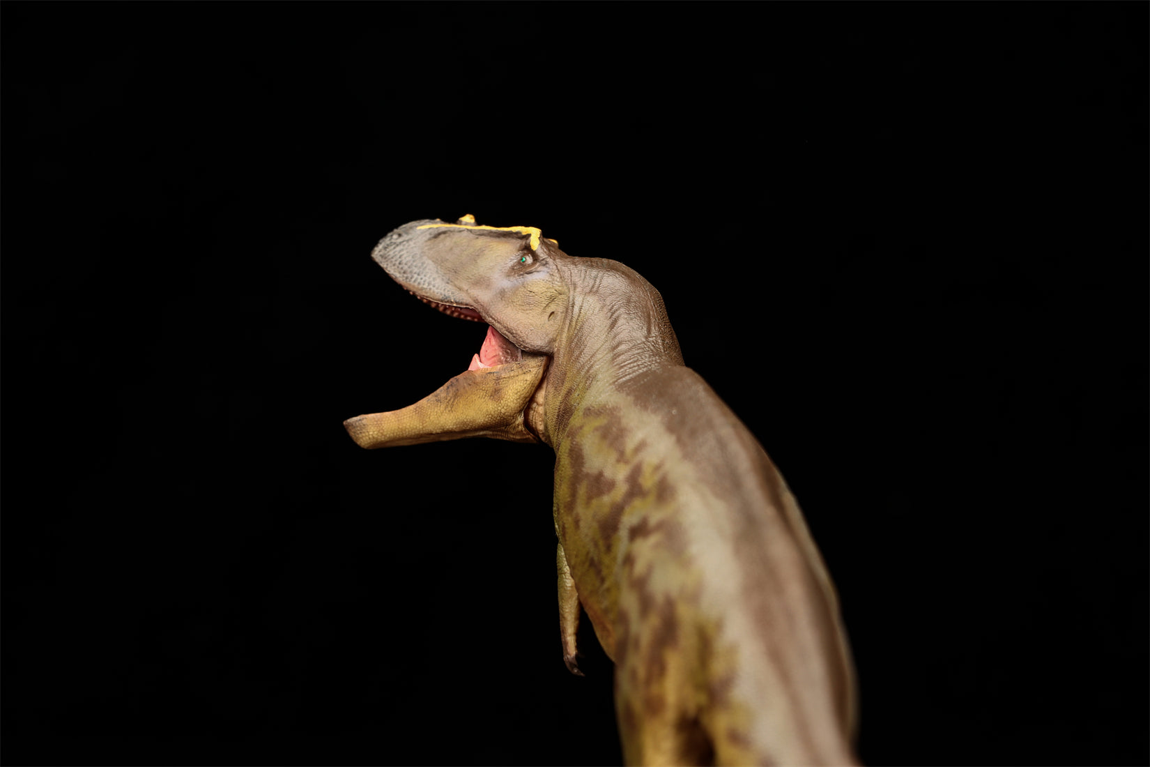 PNSO 95 Tameryraptor Mayer Model