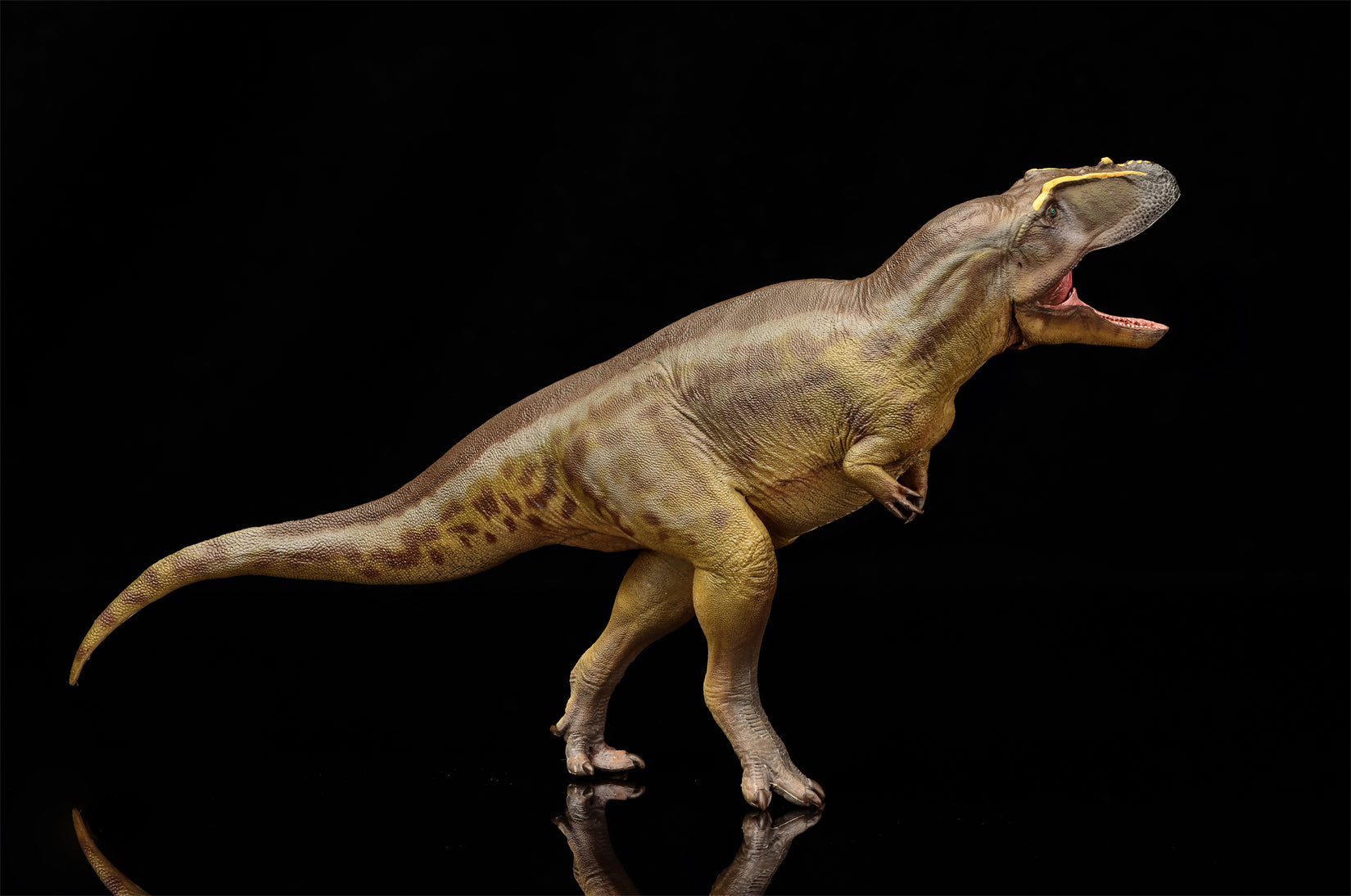 PNSO 95 Tameryraptor Mayer Model