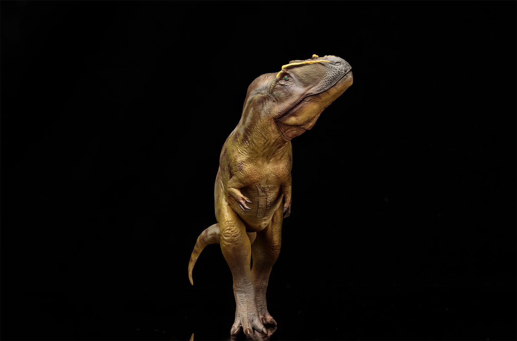 PNSO 95 Tameryraptor Mayer Model