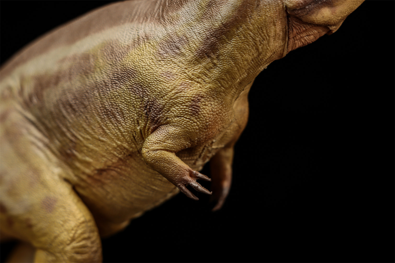 PNSO 95 Tameryraptor Mayer Model