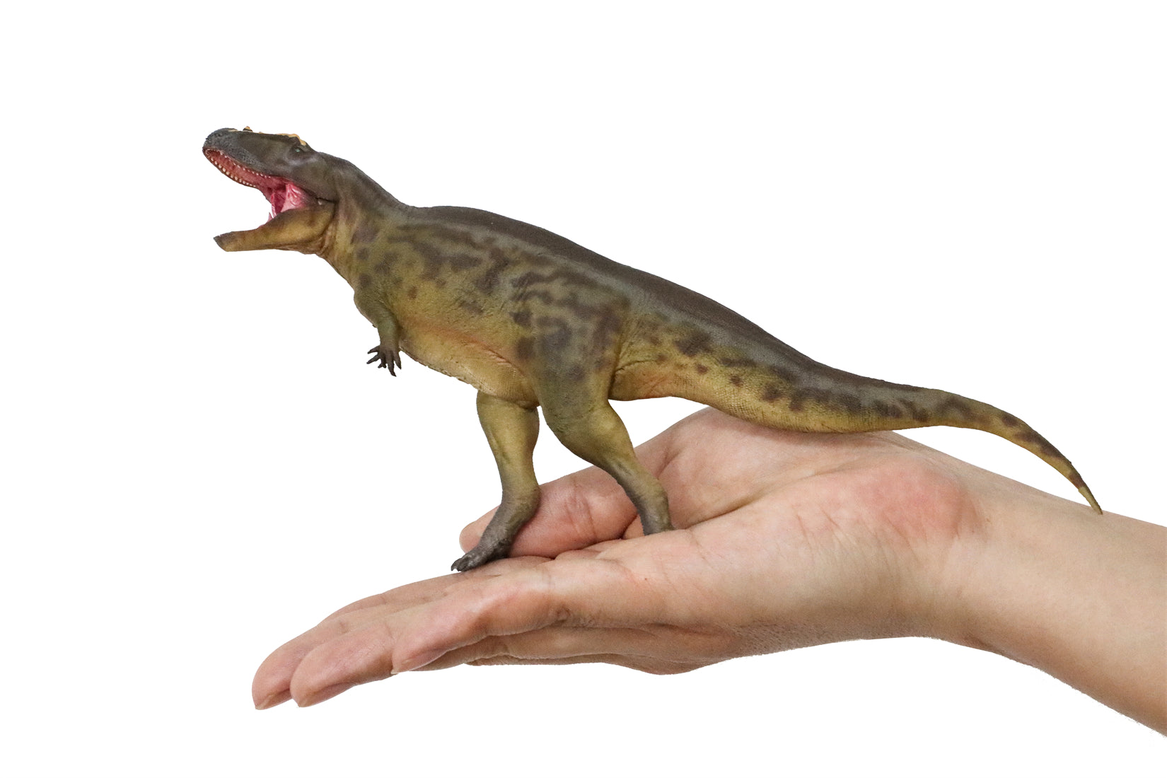 PNSO 95 Tameryraptor Mayer Model