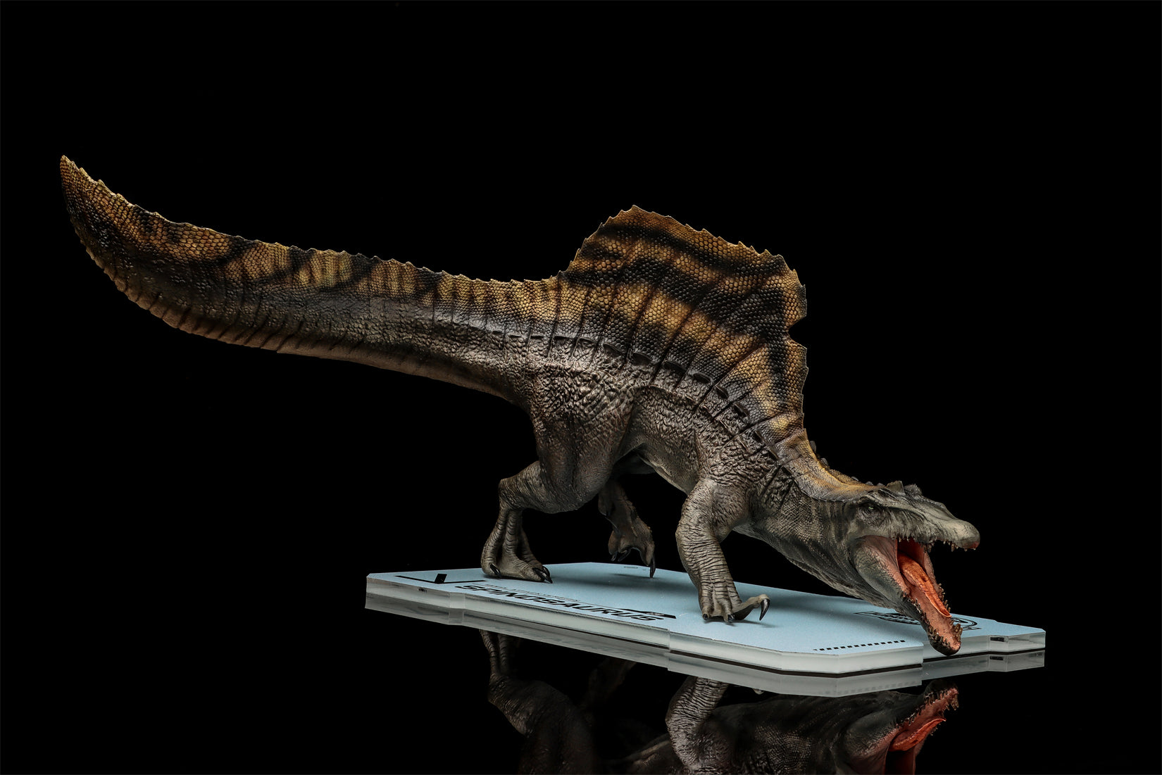 DINO DREAM 1:30 Scale Spinosaurus Attack Version Model