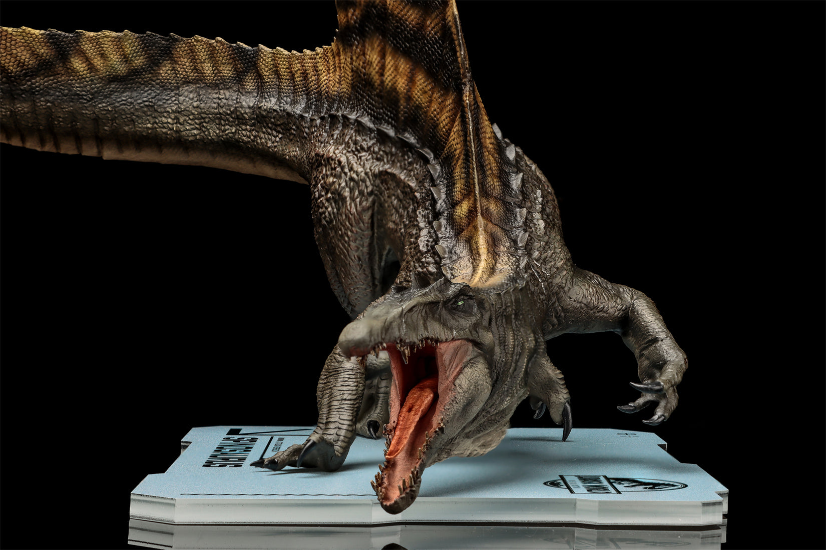 DINO DREAM 1:30 Scale Spinosaurus Attack Version Model