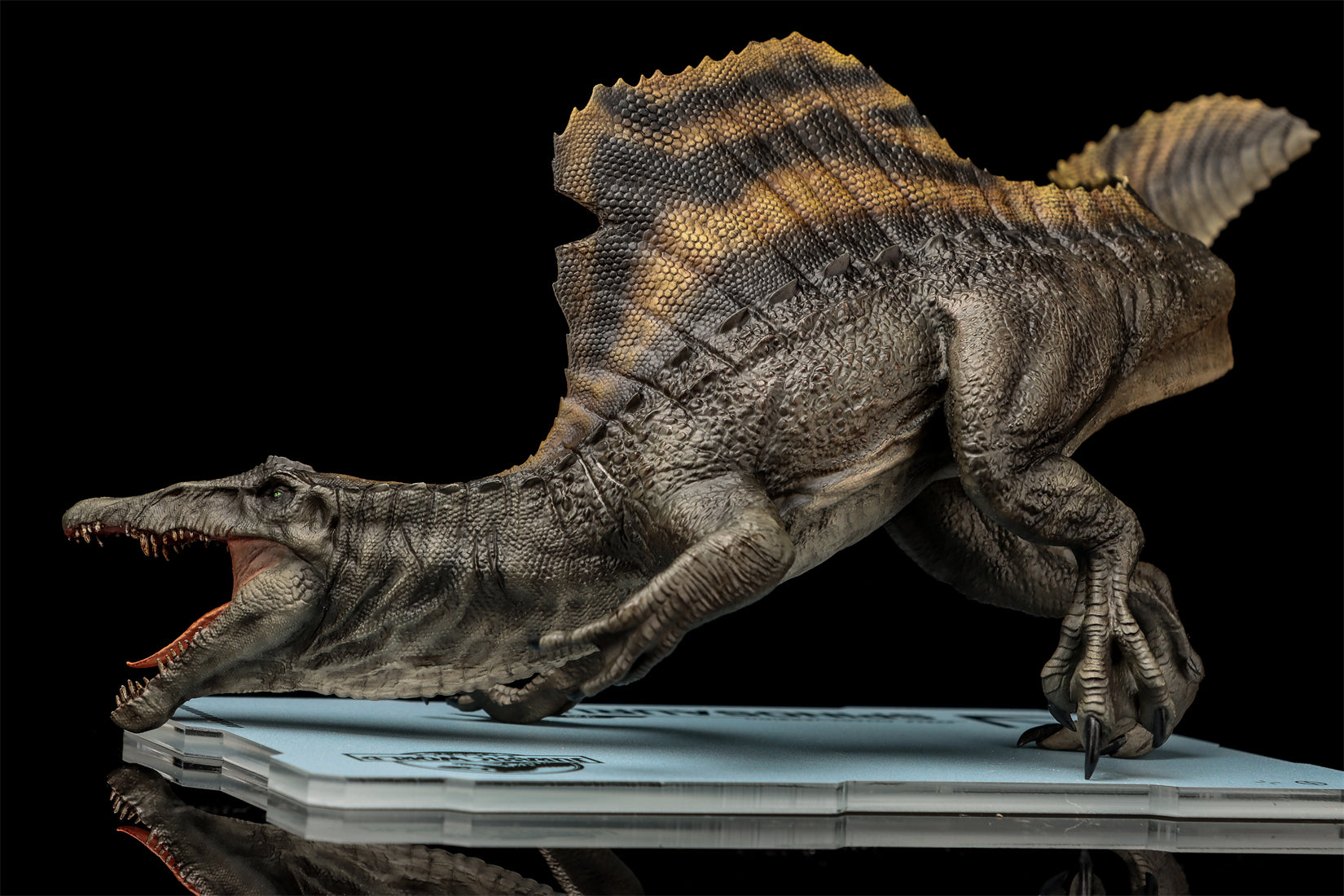 DINO DREAM 1:30 Scale Spinosaurus Attack Version Model