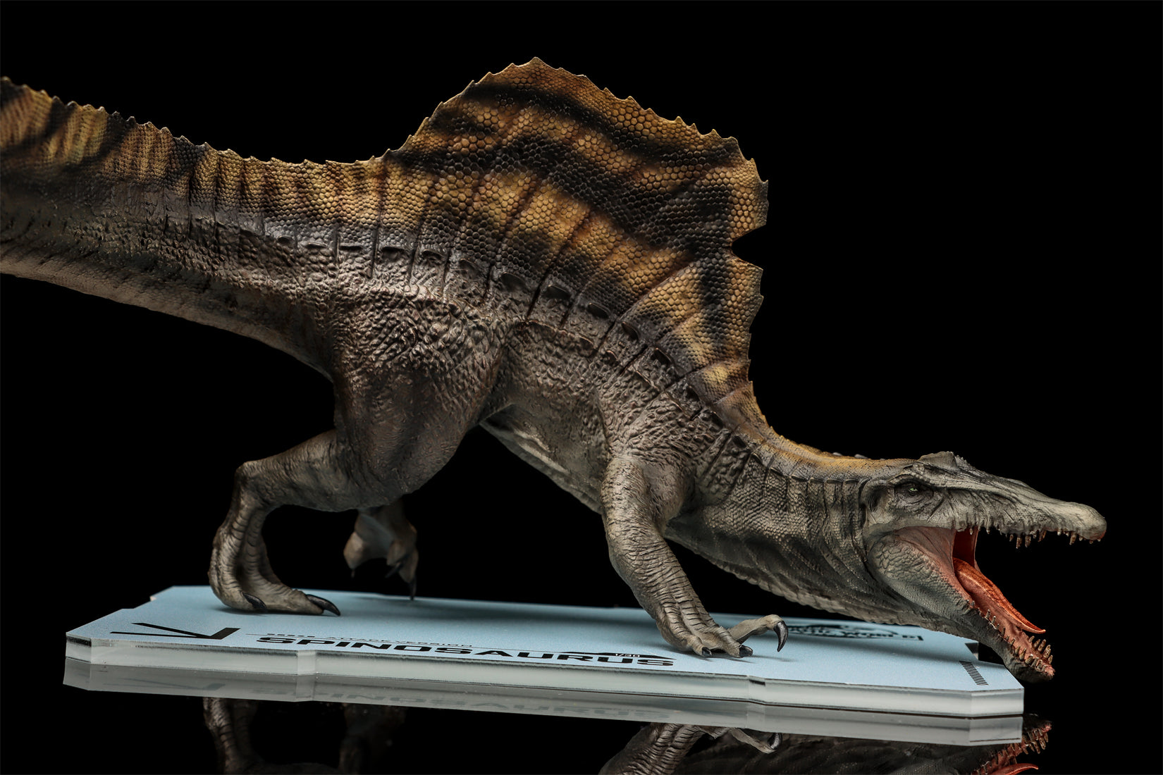 DINO DREAM 1:30 Scale Spinosaurus Attack Version Model
