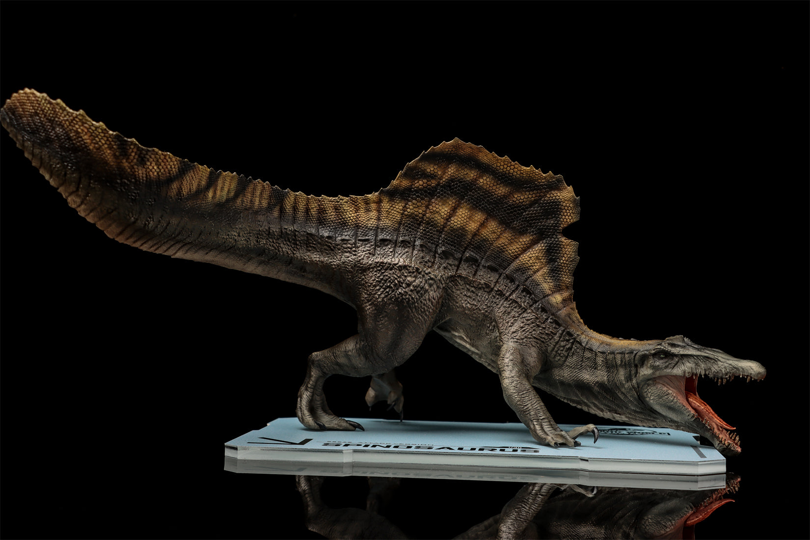 DINO DREAM 1:30 Scale Spinosaurus Attack Version Model