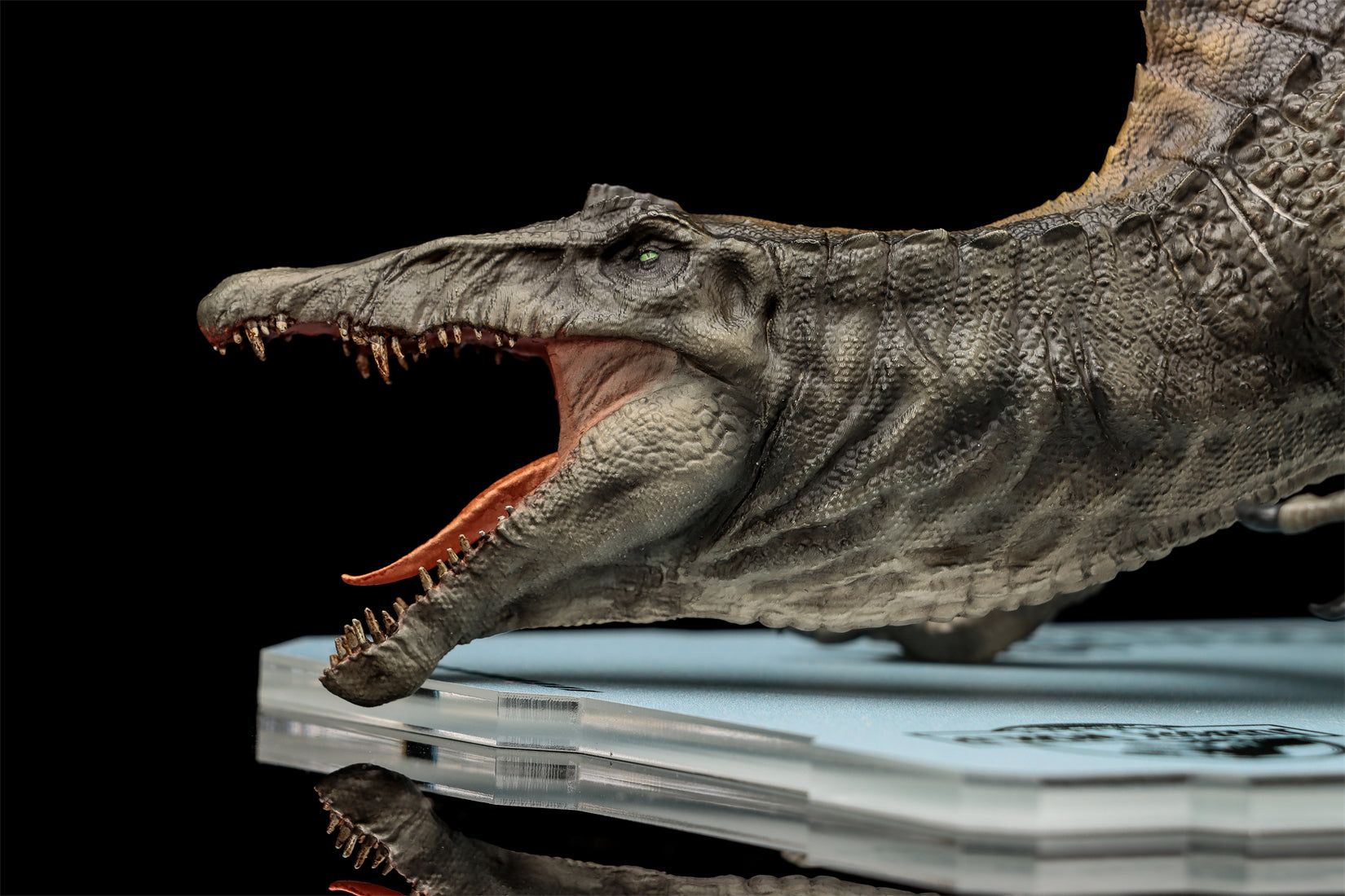DINO DREAM 1:30 Scale Spinosaurus Attack Version Model