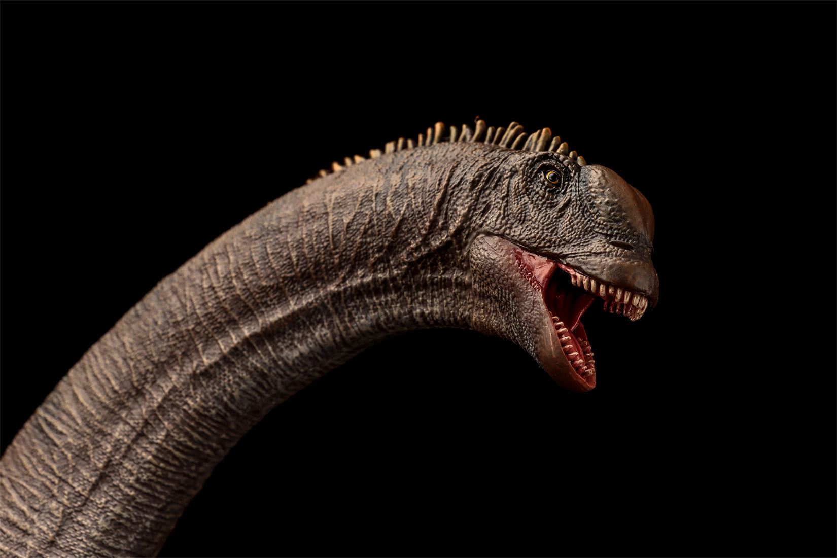 Modèle de Sauroposeidon à l'échelle 1:35 HAOLONGGOOD