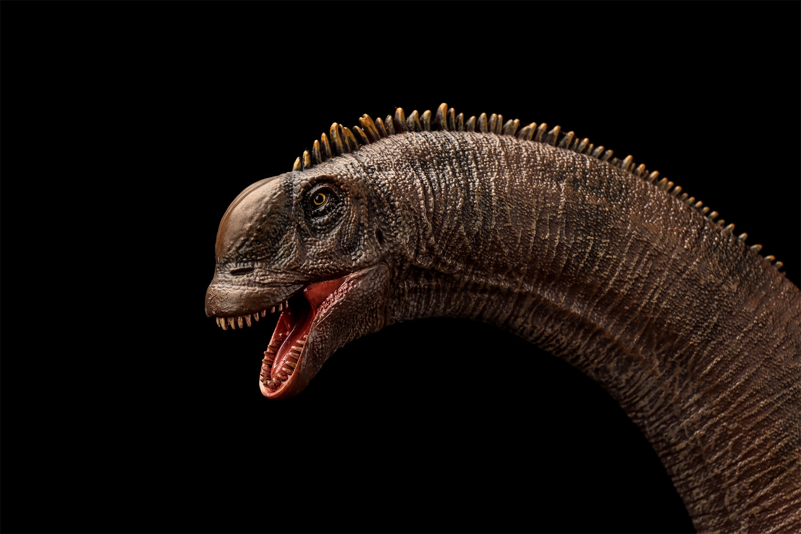 Modèle de Sauroposeidon à l'échelle 1:35 HAOLONGGOOD