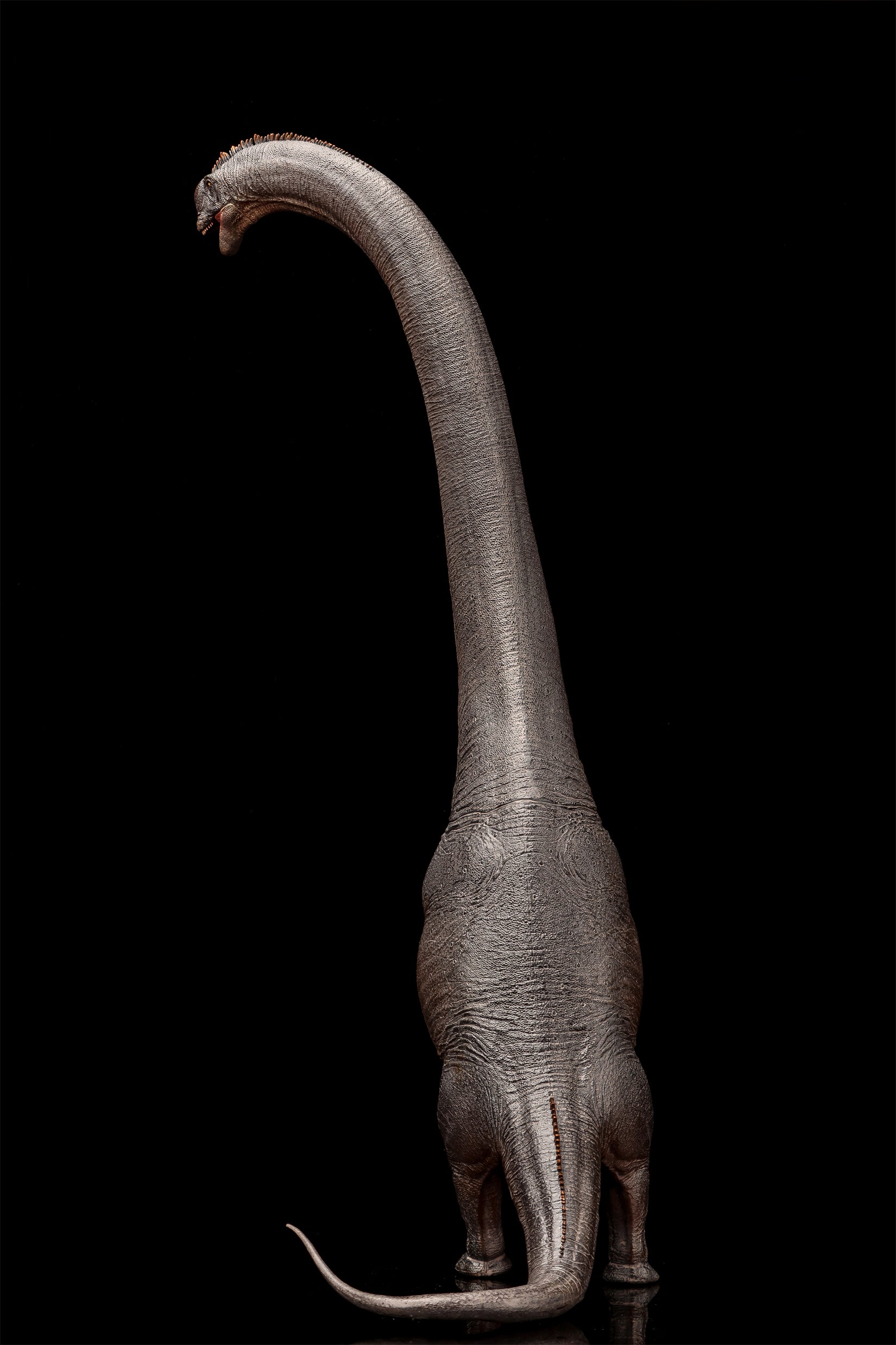 Modèle de Sauroposeidon à l'échelle 1:35 HAOLONGGOOD