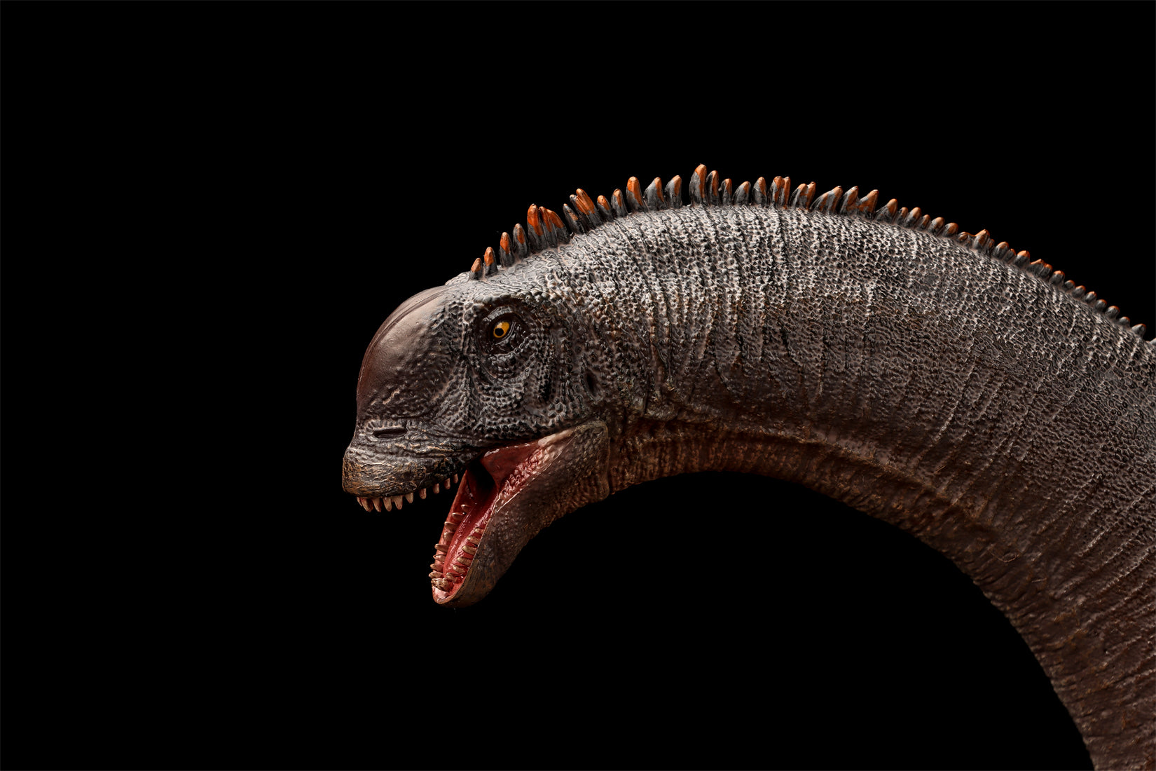 Modèle de Sauroposeidon à l'échelle 1:35 HAOLONGGOOD