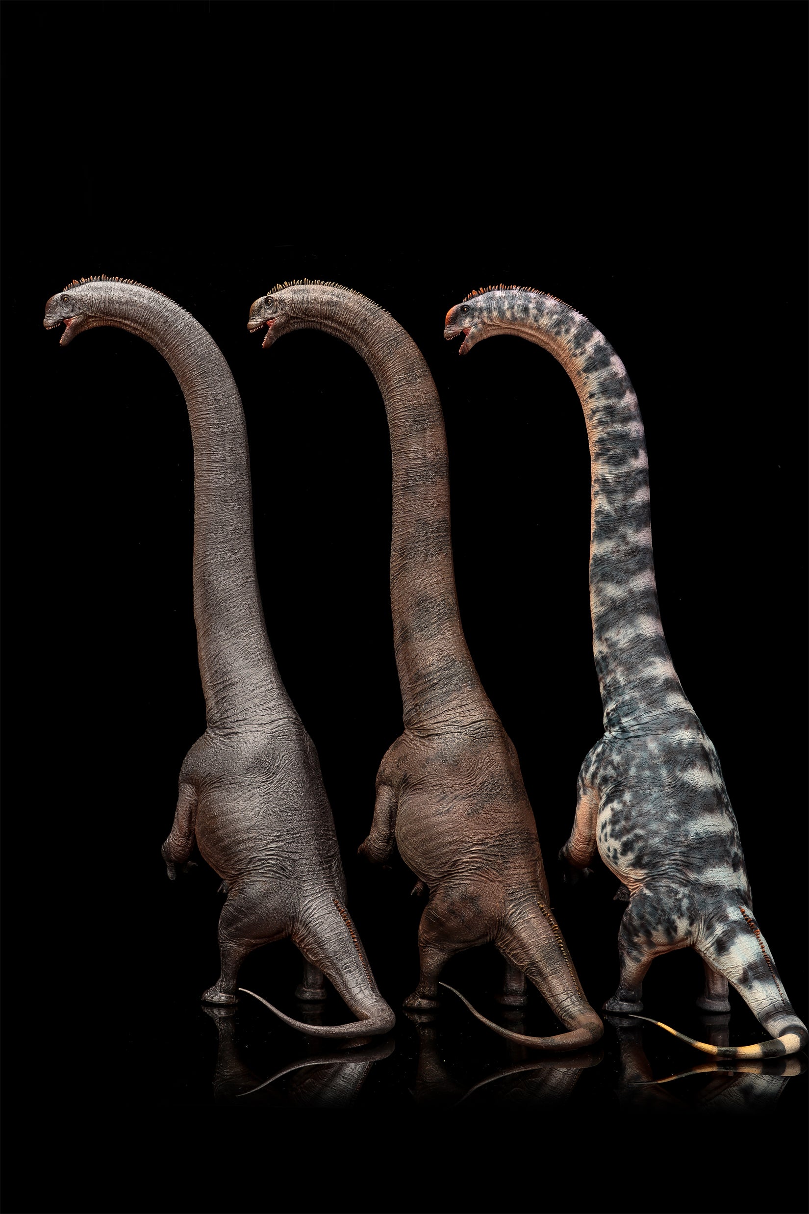 Modèle de Sauroposeidon à l'échelle 1:35 HAOLONGGOOD