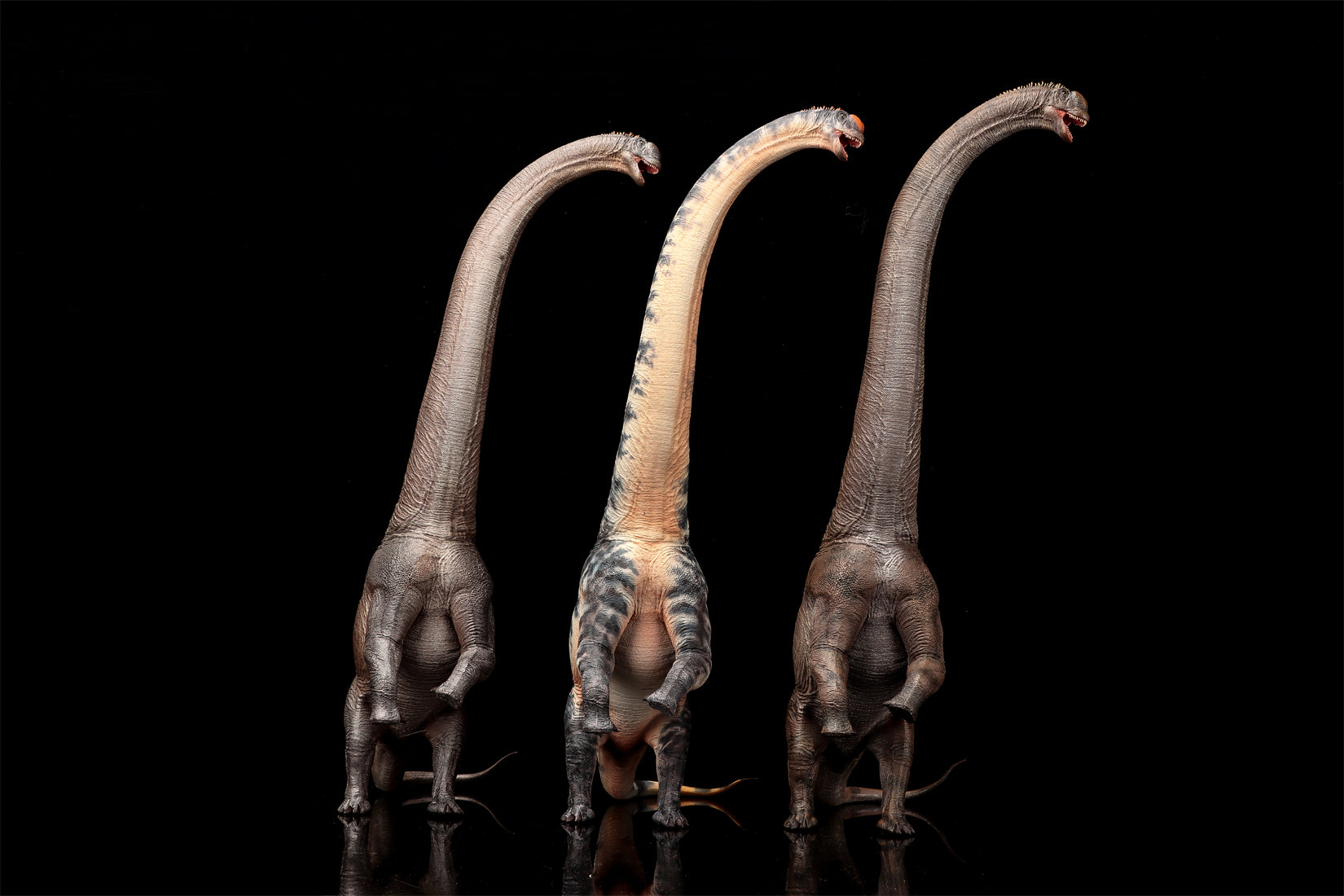 Modèle de Sauroposeidon à l'échelle 1:35 HAOLONGGOOD