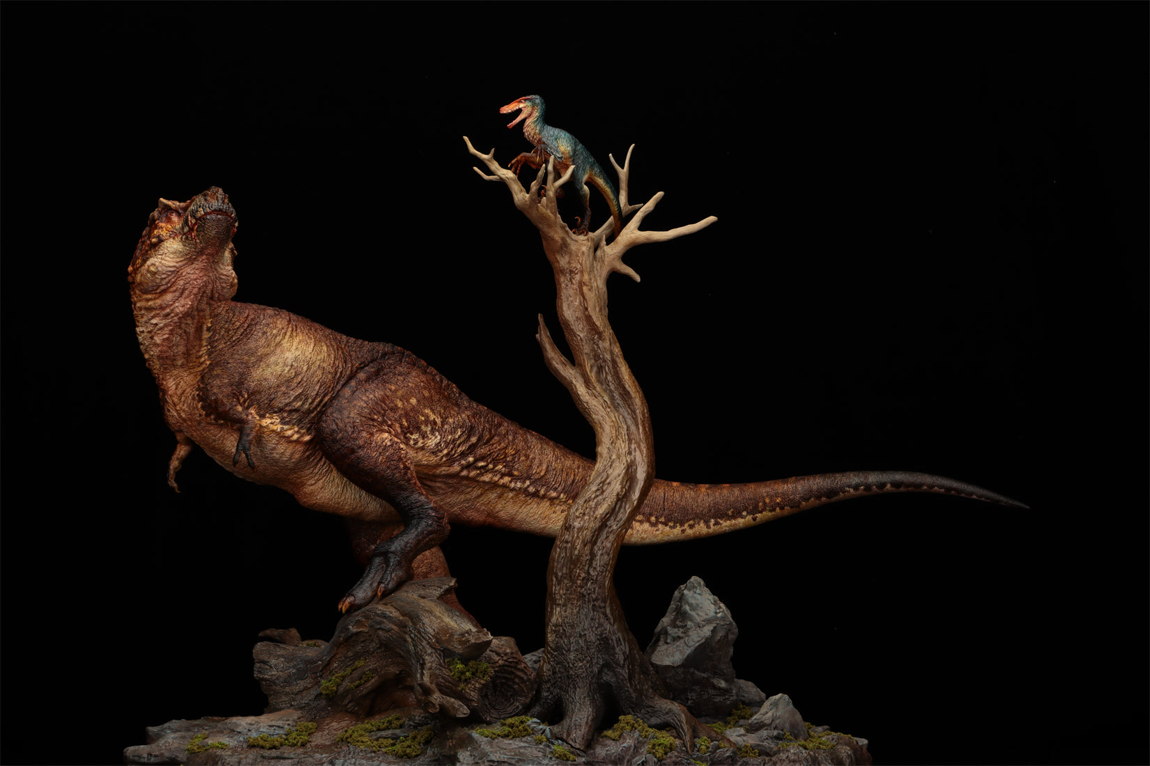 Ashine Alliance Tyrannosaurus Acheroraptor Scene Statue