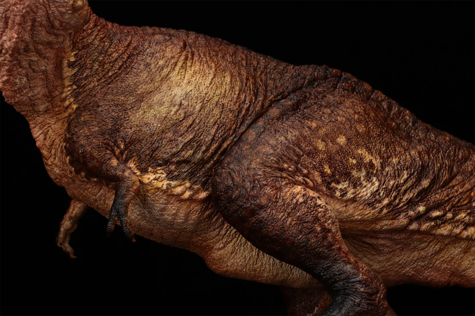 Ashine Alliance Tyrannosaurus Acheroraptor Scene Statue