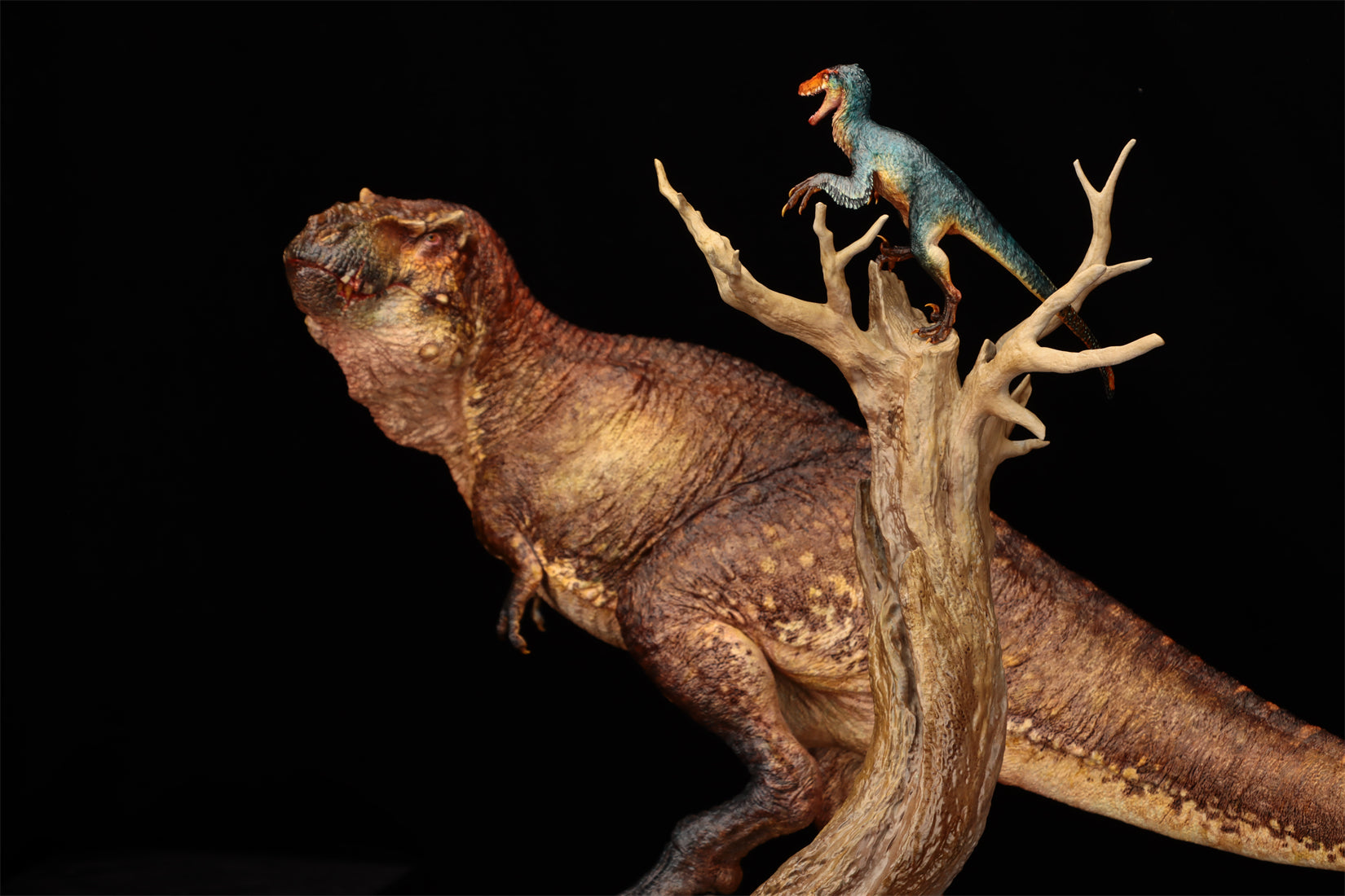 Ashine Alliance Tyrannosaurus Acheroraptor Scene Statue