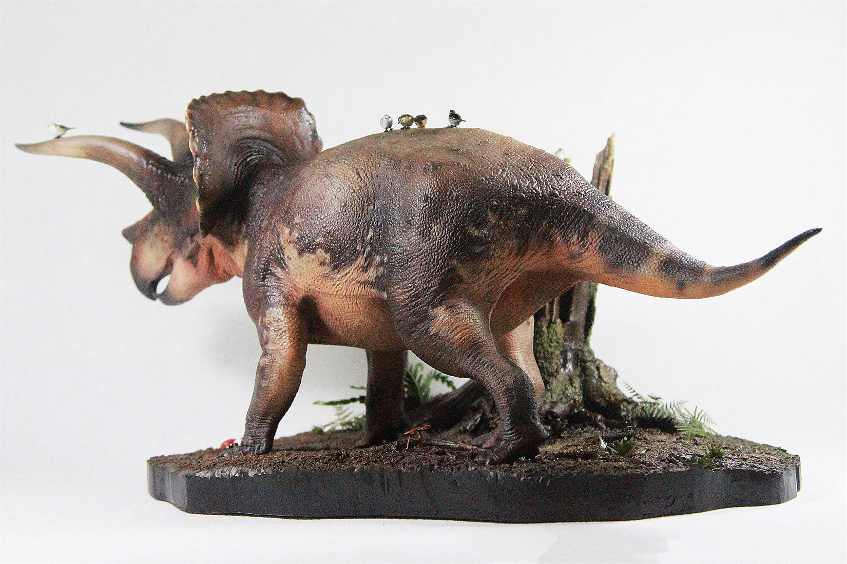 De CLAY Studio Triceratops prorsus Scene Statue Kit