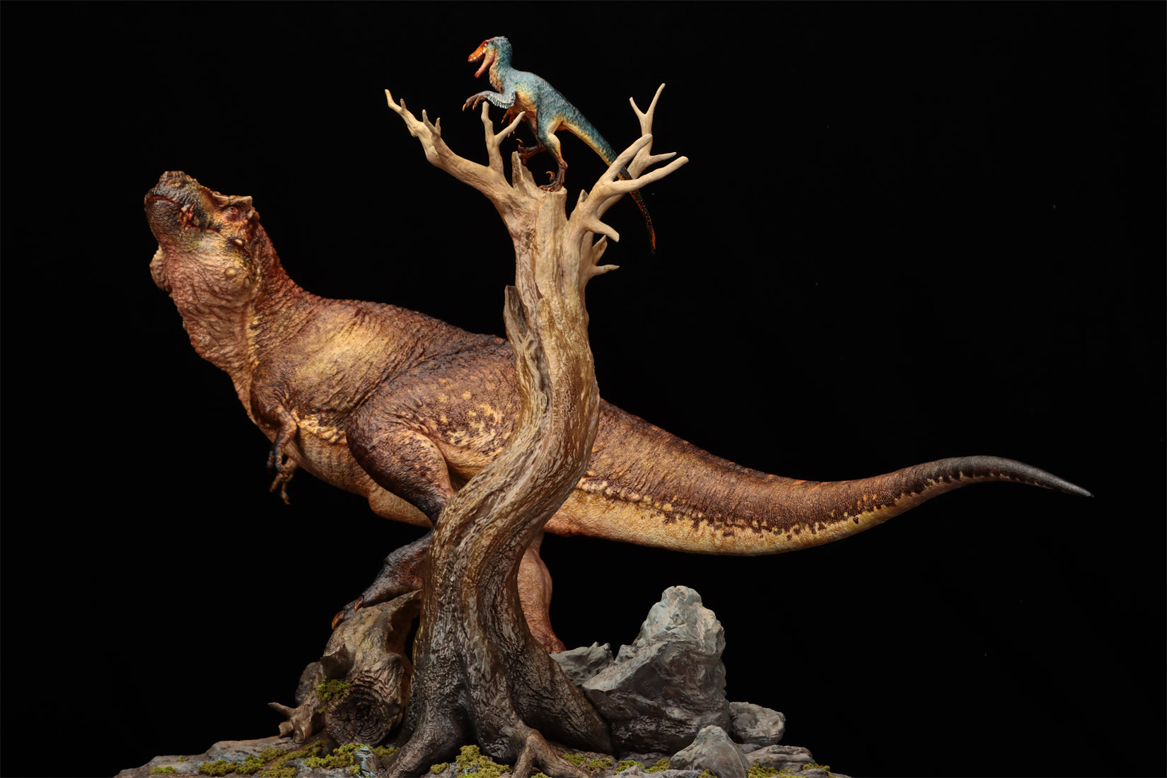 Ashine Alliance Tyrannosaurus Acheroraptor Scene Statue