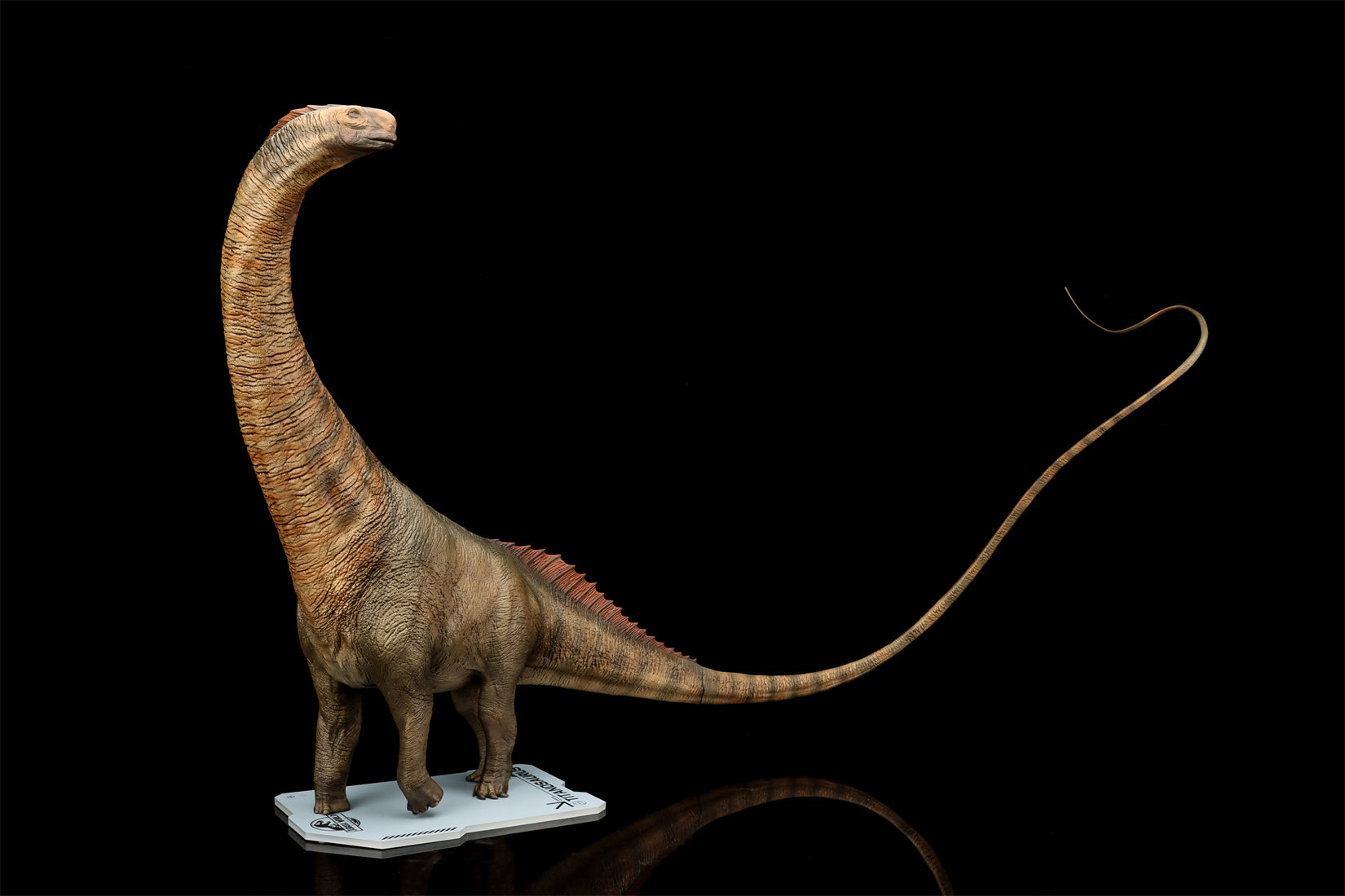DINO DREAM 1:30 Scale Titanosaurus Model