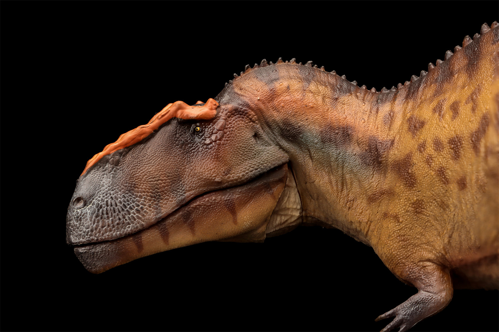 PNSO 96 Taurovenator Hugo Model