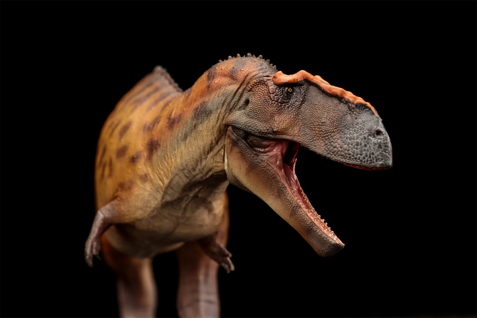 PNSO 96 Taurovenator Hugo Model