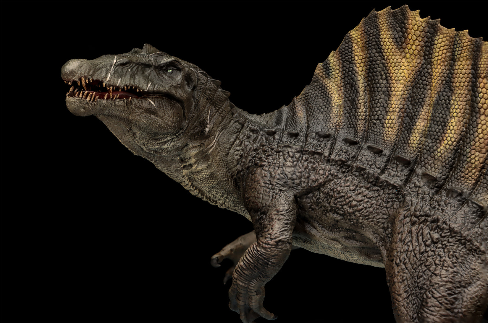 DINO DREAM 1:30 Scale Spinosaurus Stand Version Model