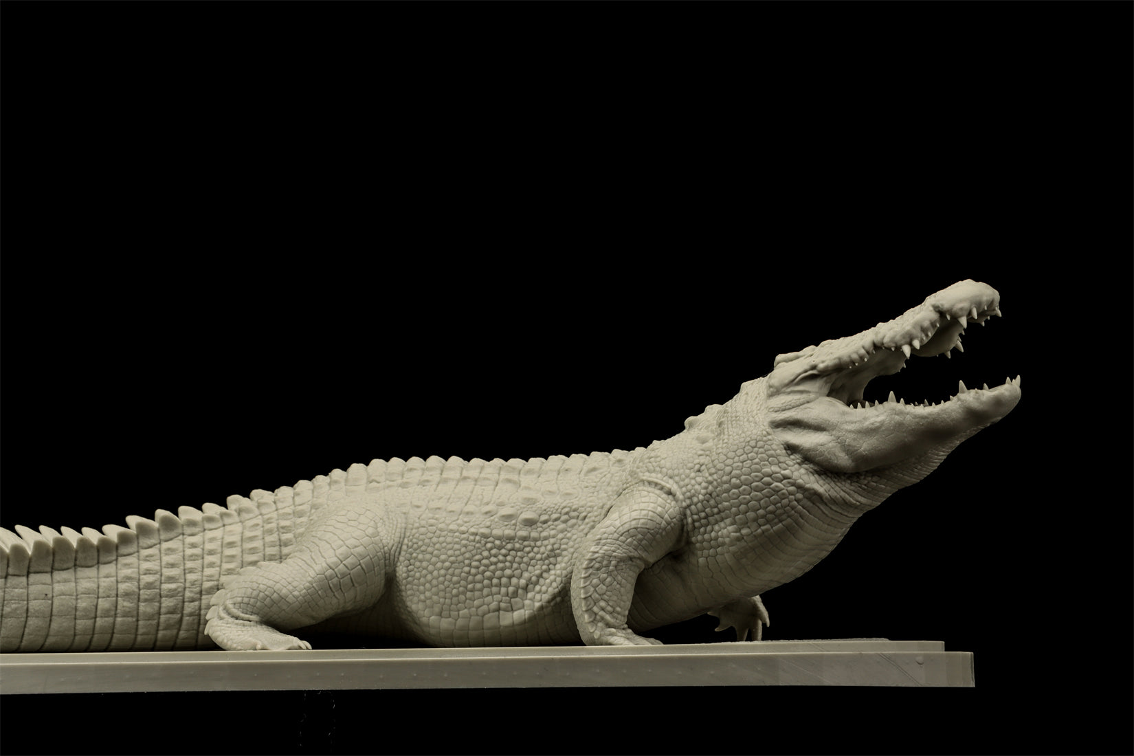 The Crocs Man Studio Crocodile Utan Model