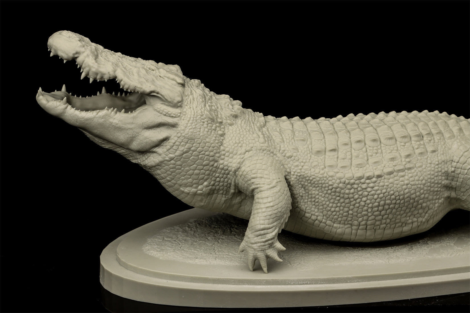 The Crocs Man Studio Crocodile Utan Model