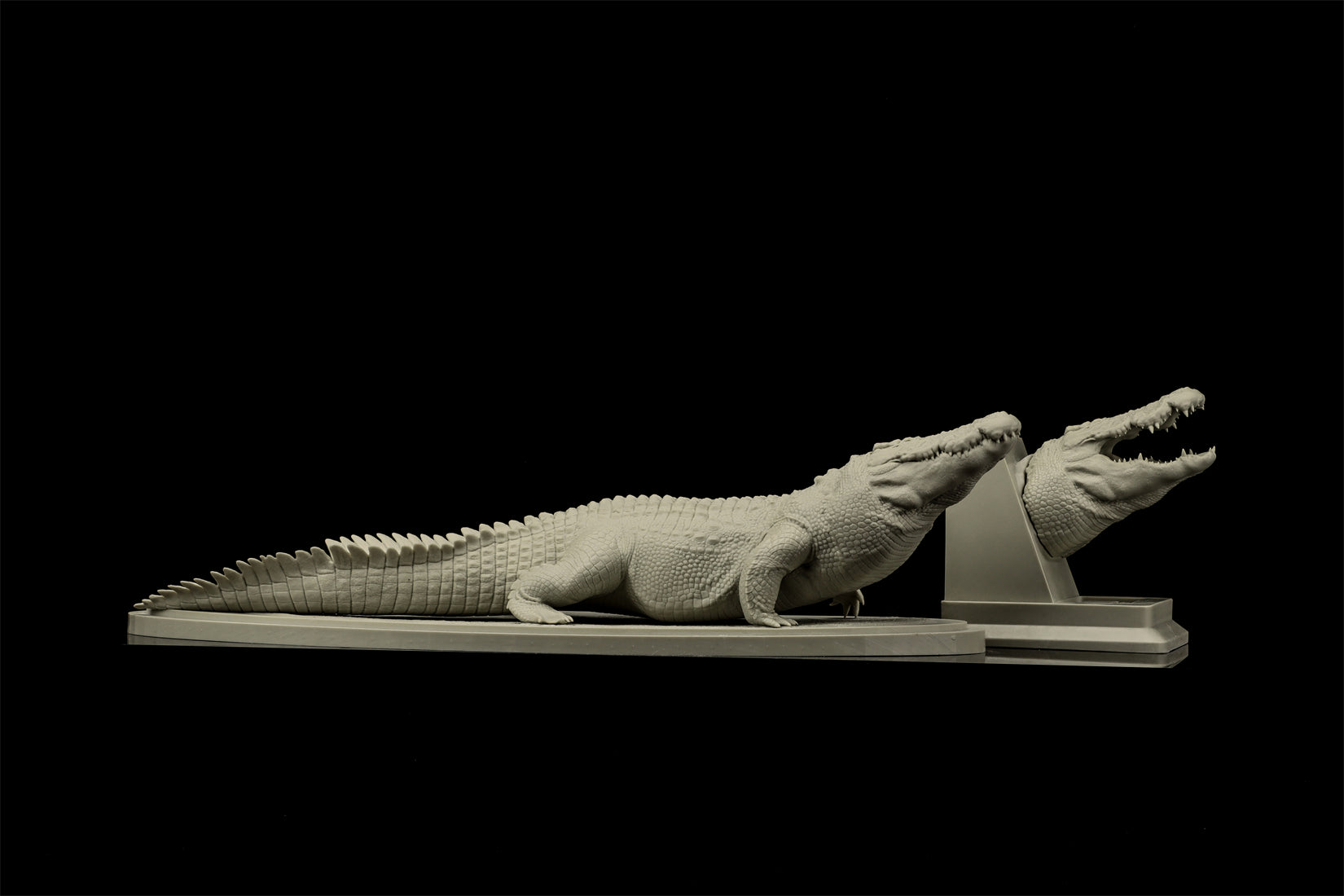 The Crocs Man Studio Crocodile Utan Model