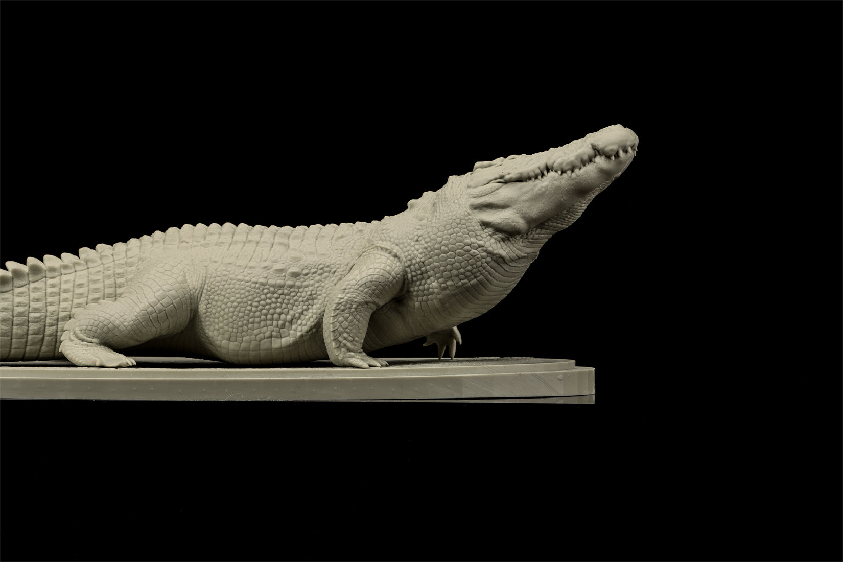 The Crocs Man Studio Crocodile Utan Model