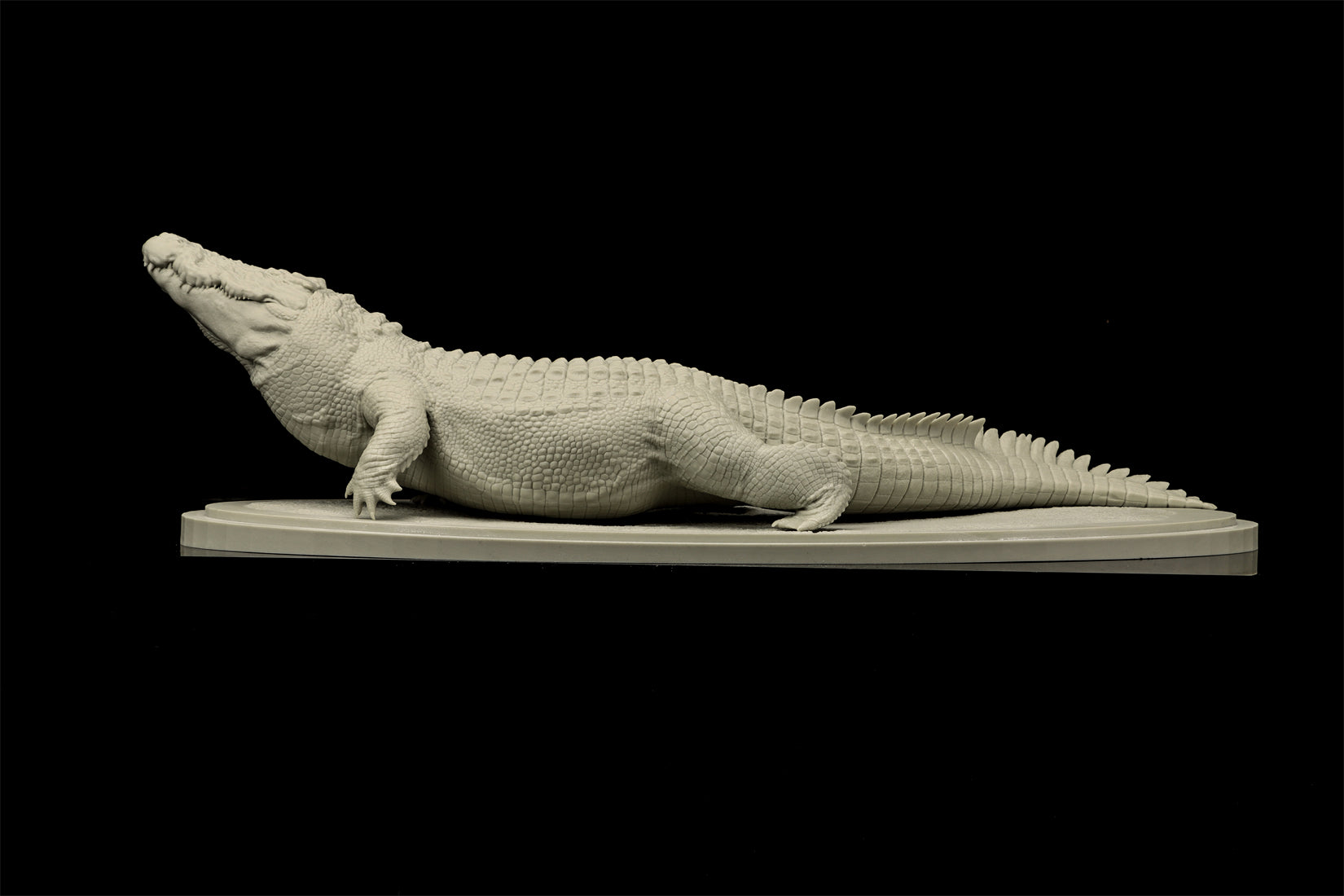 The Crocs Man Studio Crocodile Utan Model