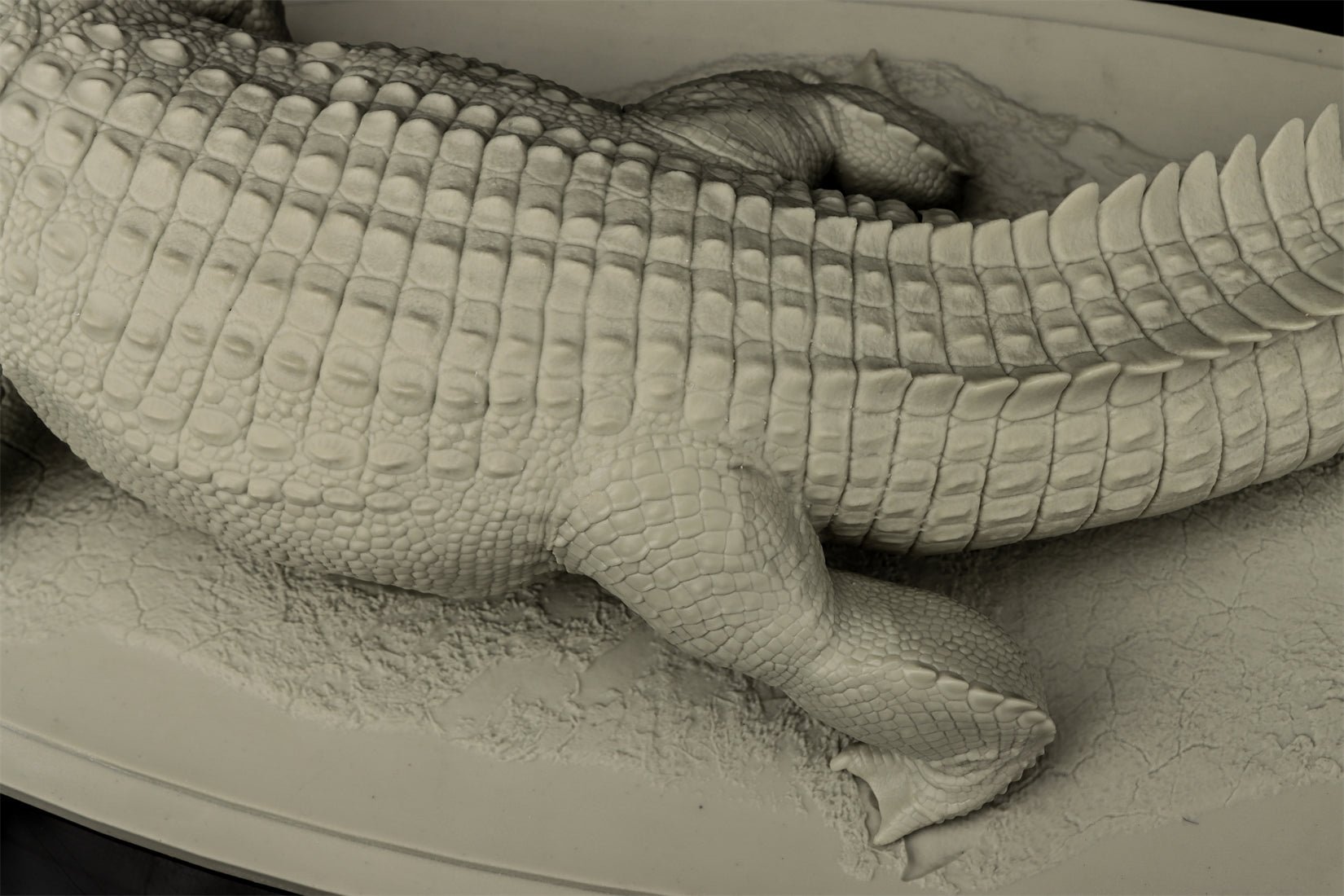 The Crocs Man Studio Crocodile Utan Model