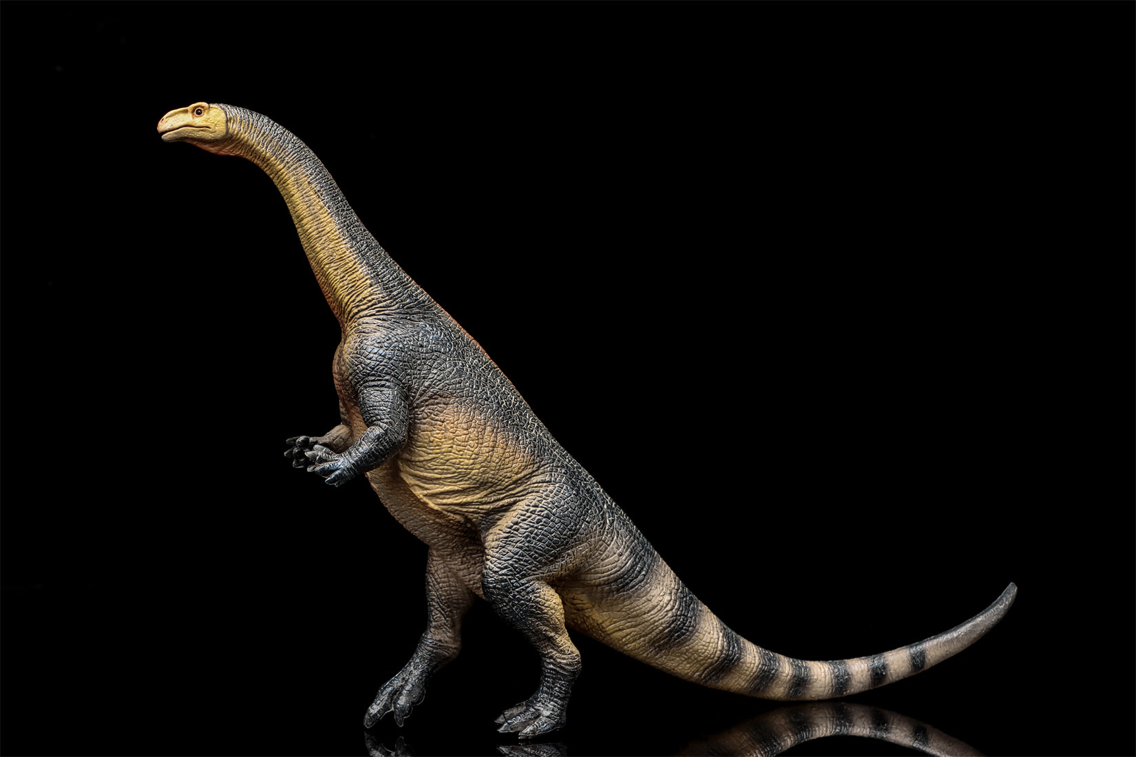 TNG Arsinoitherium Elasmotherium Megatherium Woolly Mammoth Stegodon Figure