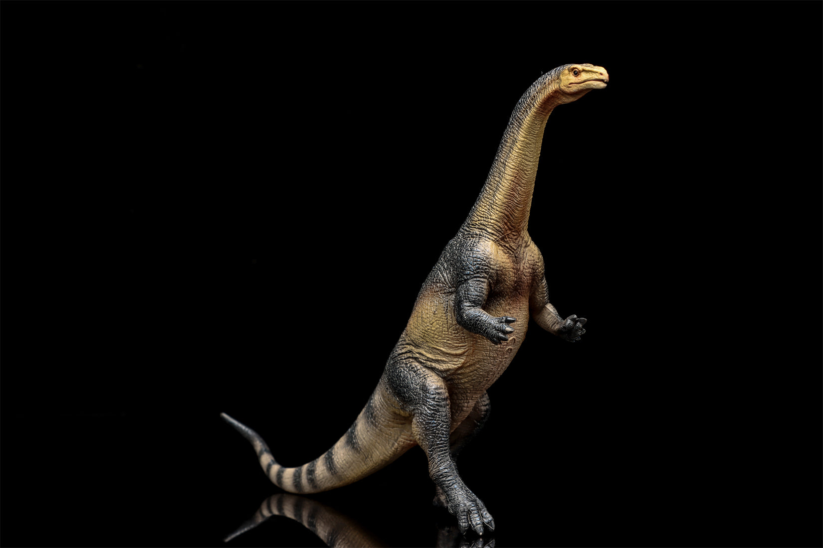 TNG Arsinoitherium Elasmotherium Megatherium Woolly Mammoth Stegodon Figure