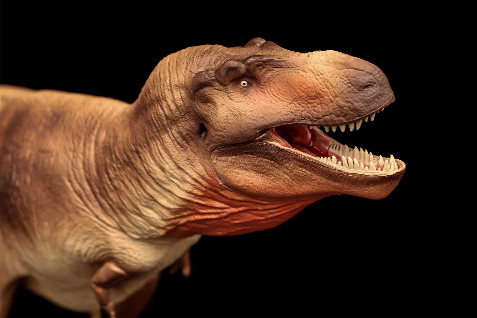 Figurine Tarbosaurus de The Boundless World