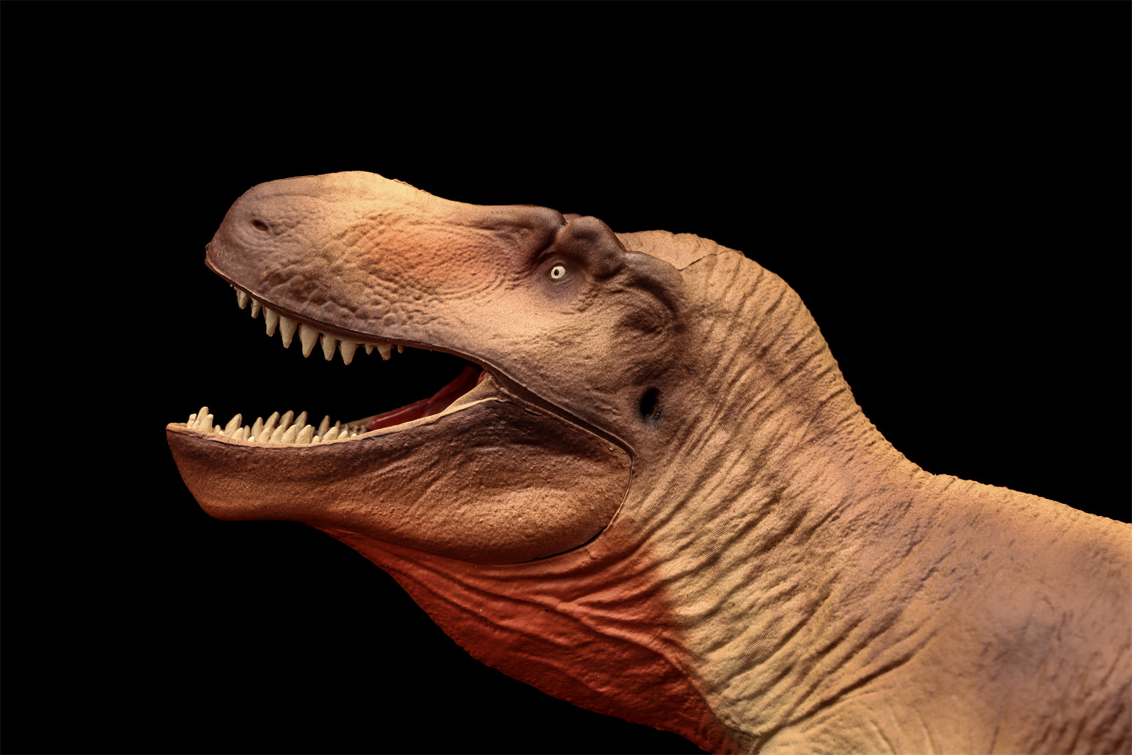 Figurine Tarbosaurus de The Boundless World