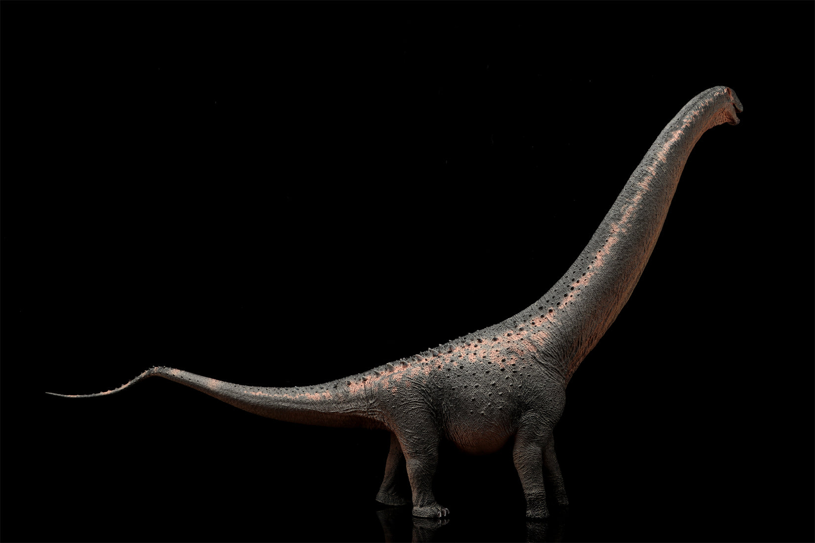 HAOLONGGOOD 1:35 Scale Argentinosaurus Model