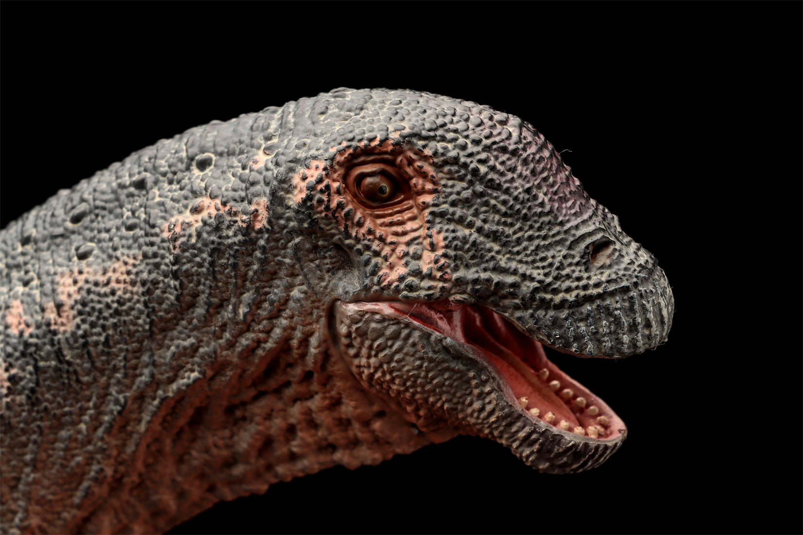 HAOLONGGOOD 1:35 Scale Argentinosaurus Model