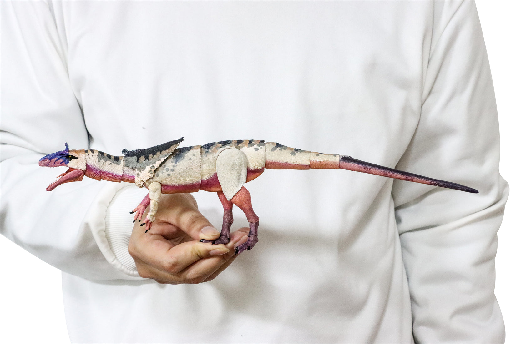 Beasts of the Mesozoic Cryolophosaurus ellioti – 1/18th scale action figure